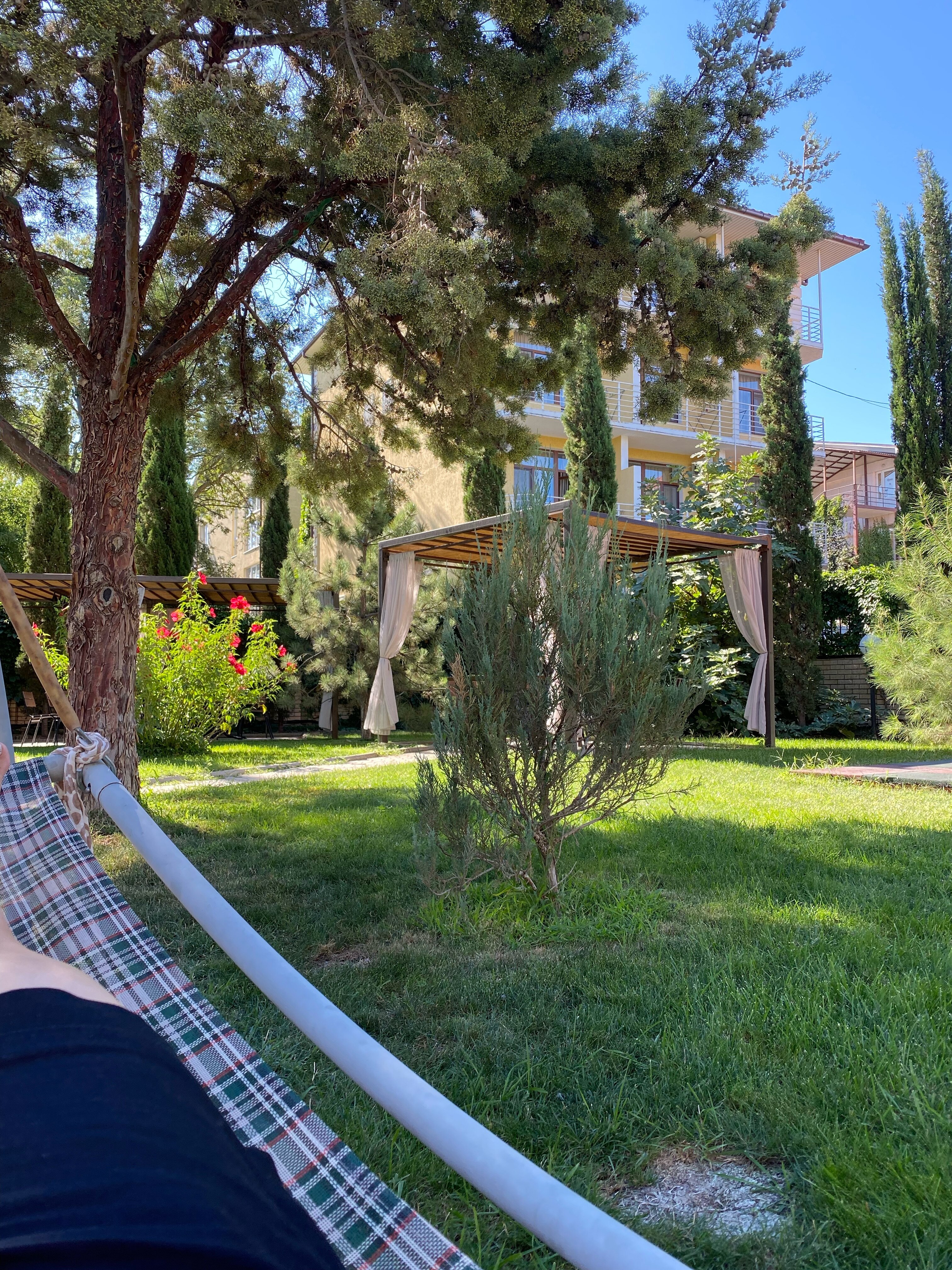 Фото Морской конек