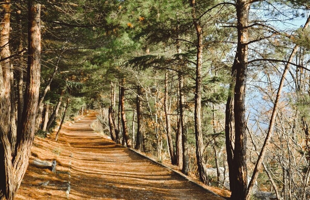 Landmark, attraction The beginning of the Sun trail, Republic of Crimea, photo