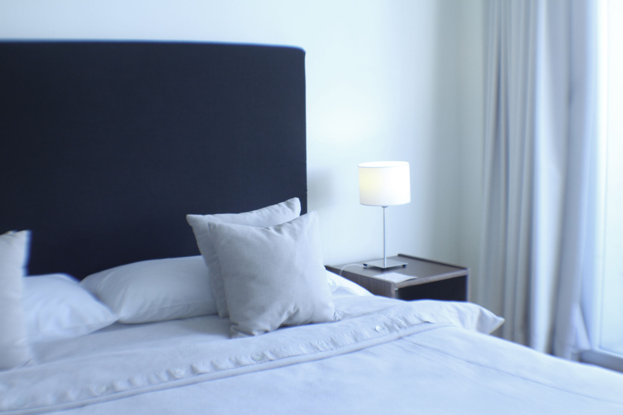 Фото Art Suites & Gallery