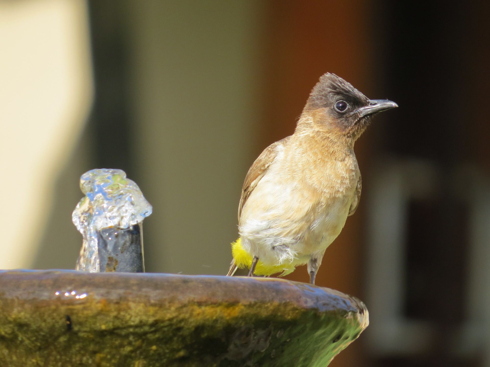 Фото Crocodile Bridge Safari Lodge