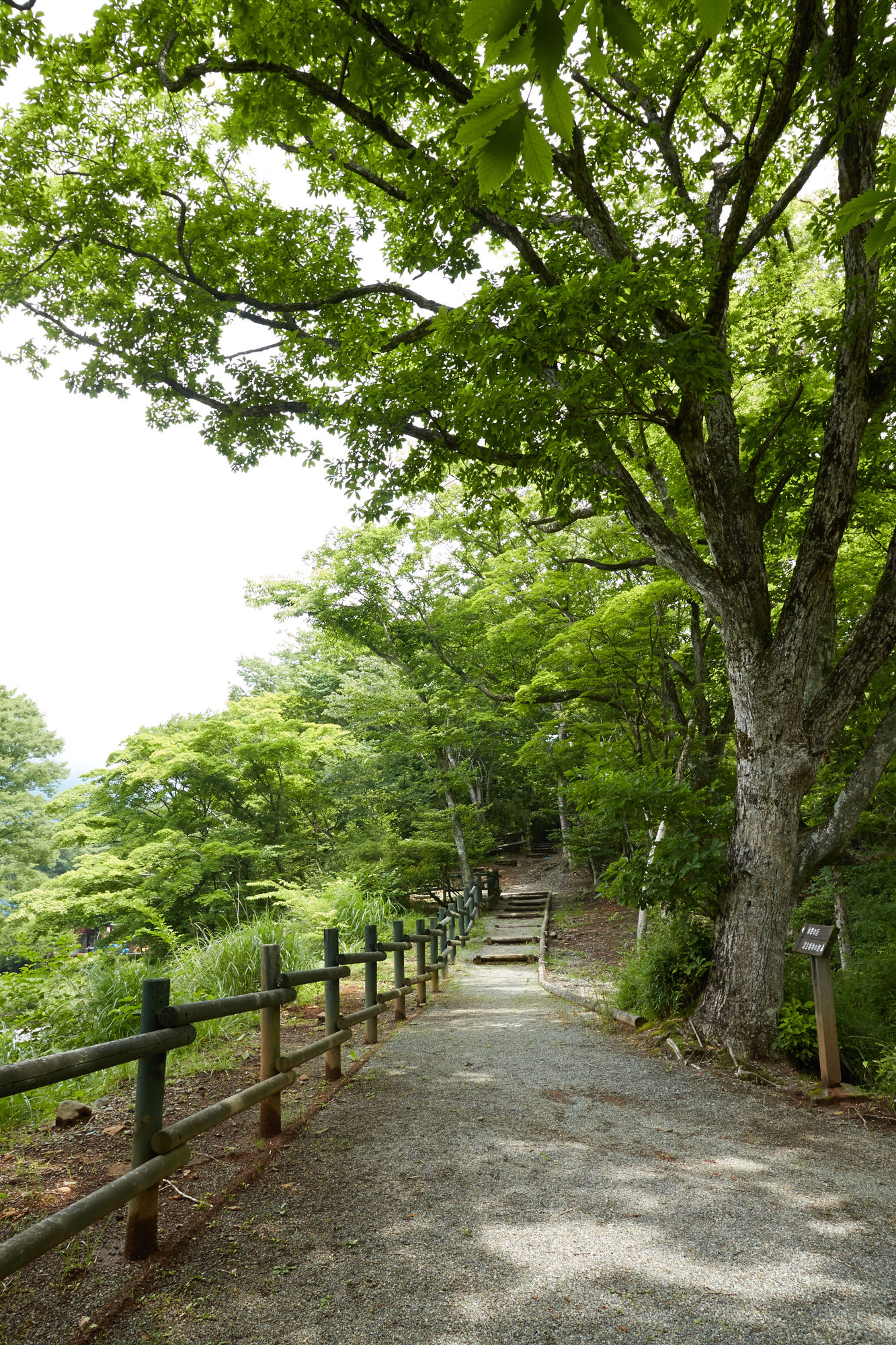 Фото Hakone Highland Hotel