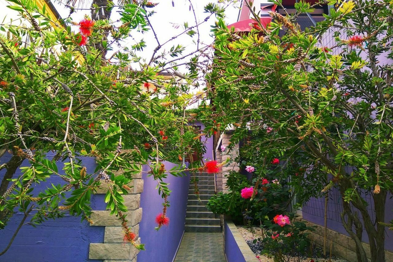 Фото ApartHotel Viola