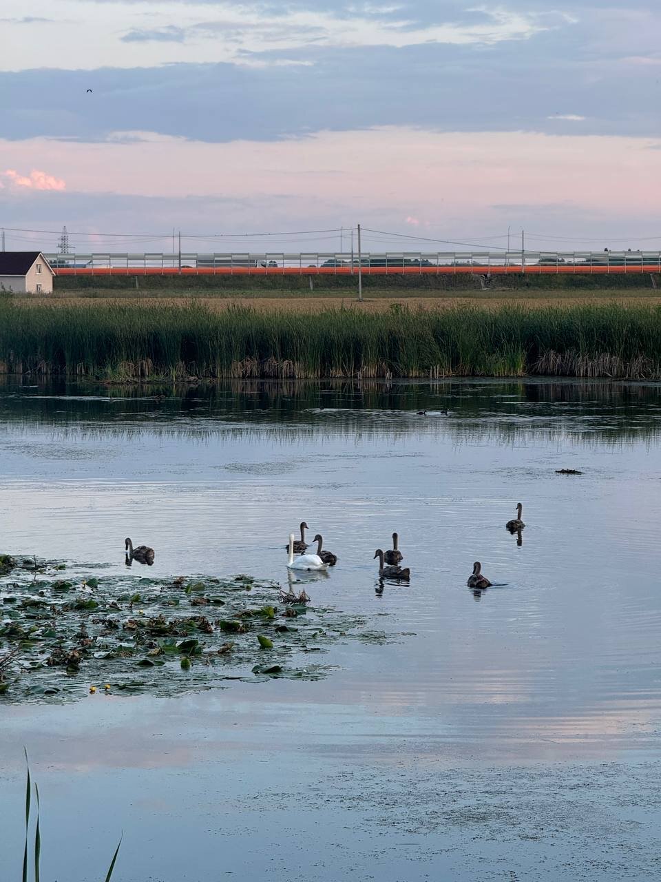 Фото Геометрия