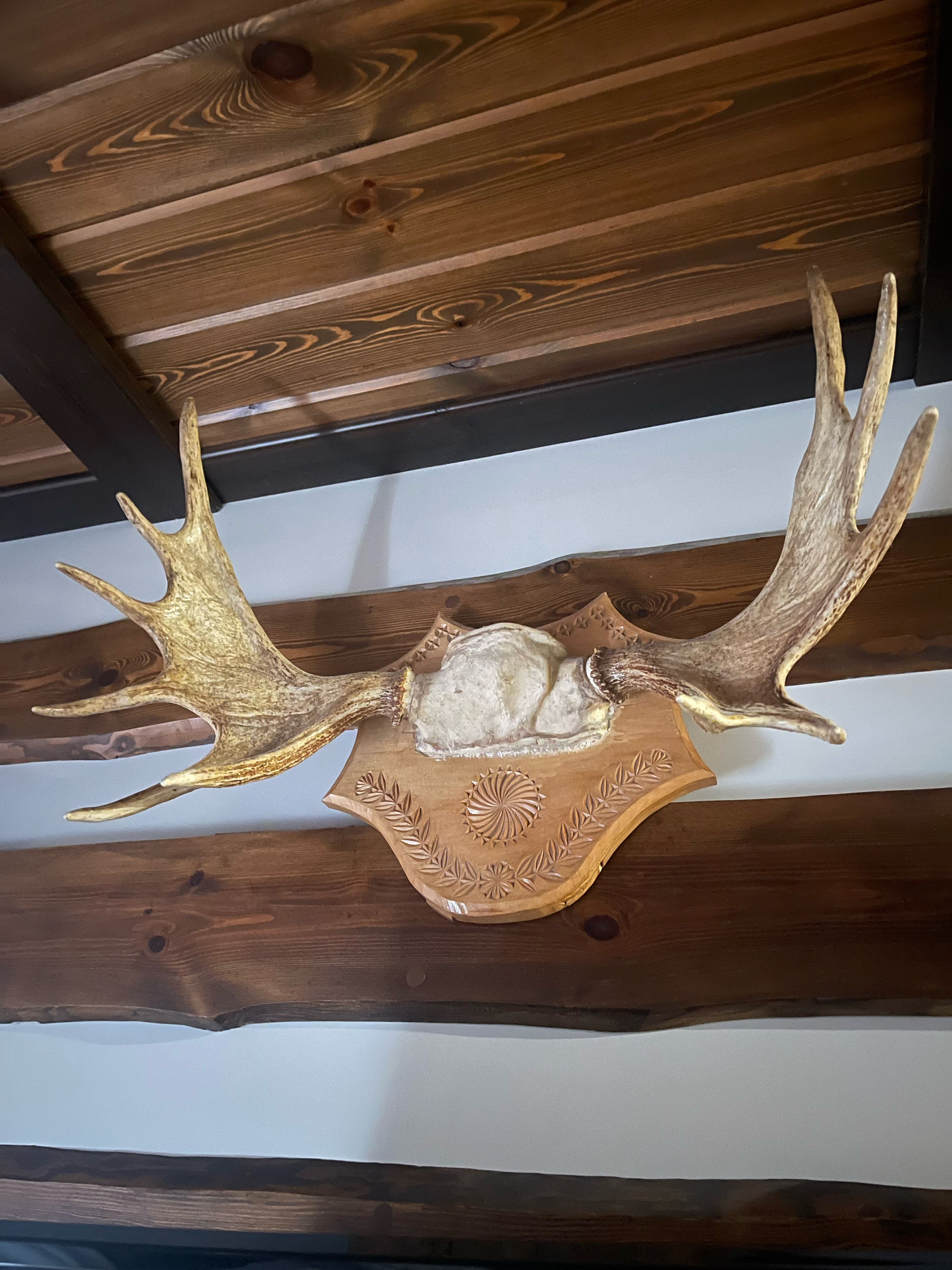 Фото Sports Residence