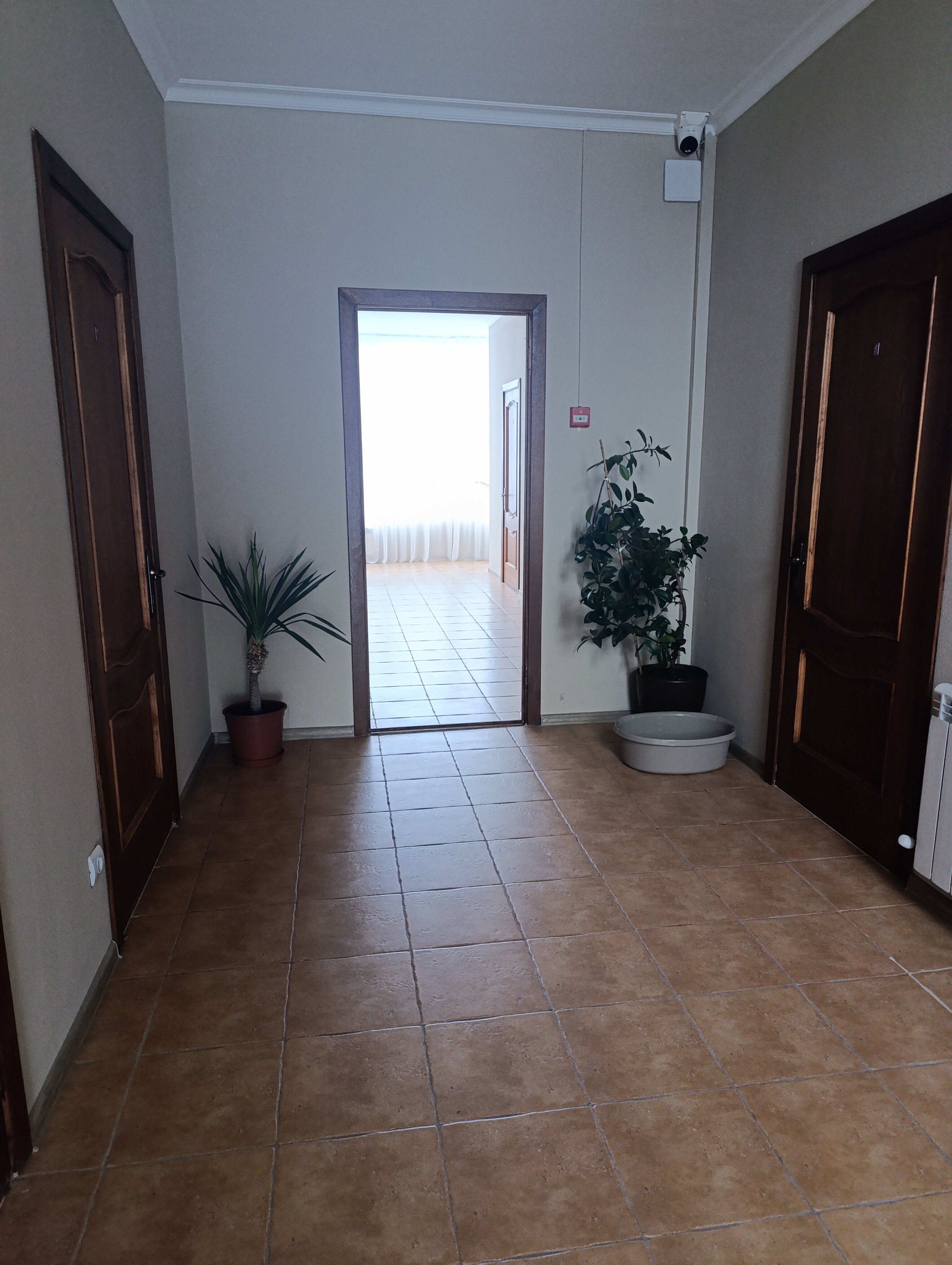 Фото Solo Apart Nvrsk