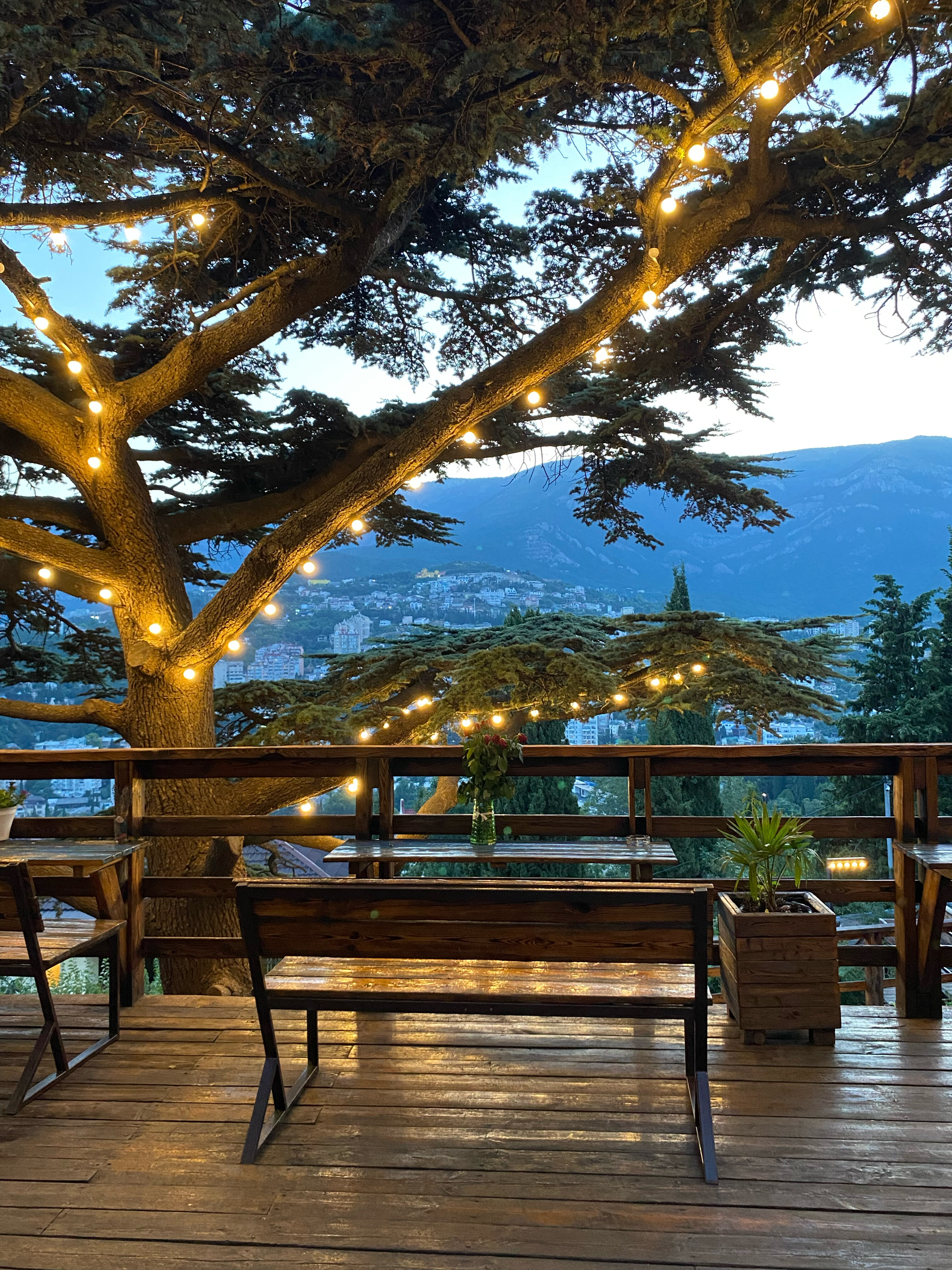 Фото Мистер Тукер