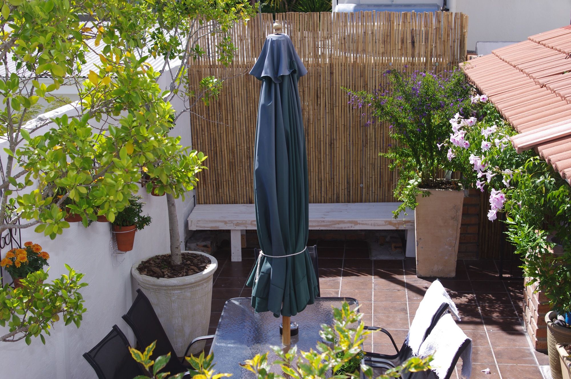 Фото Belmont Guest House