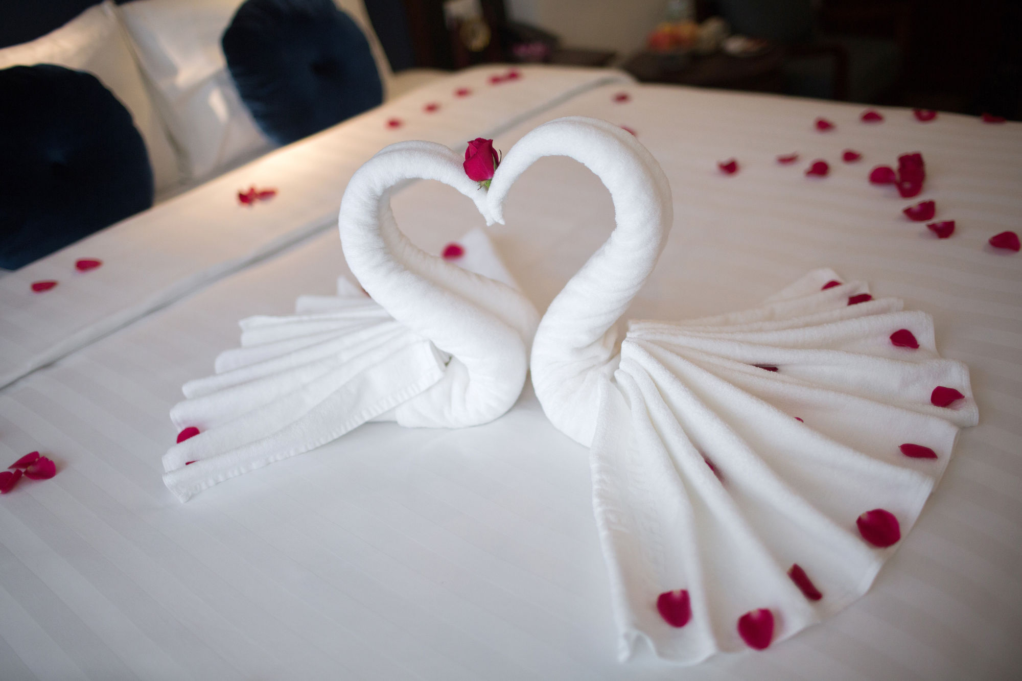 Фото Holiday Emerald Hotel