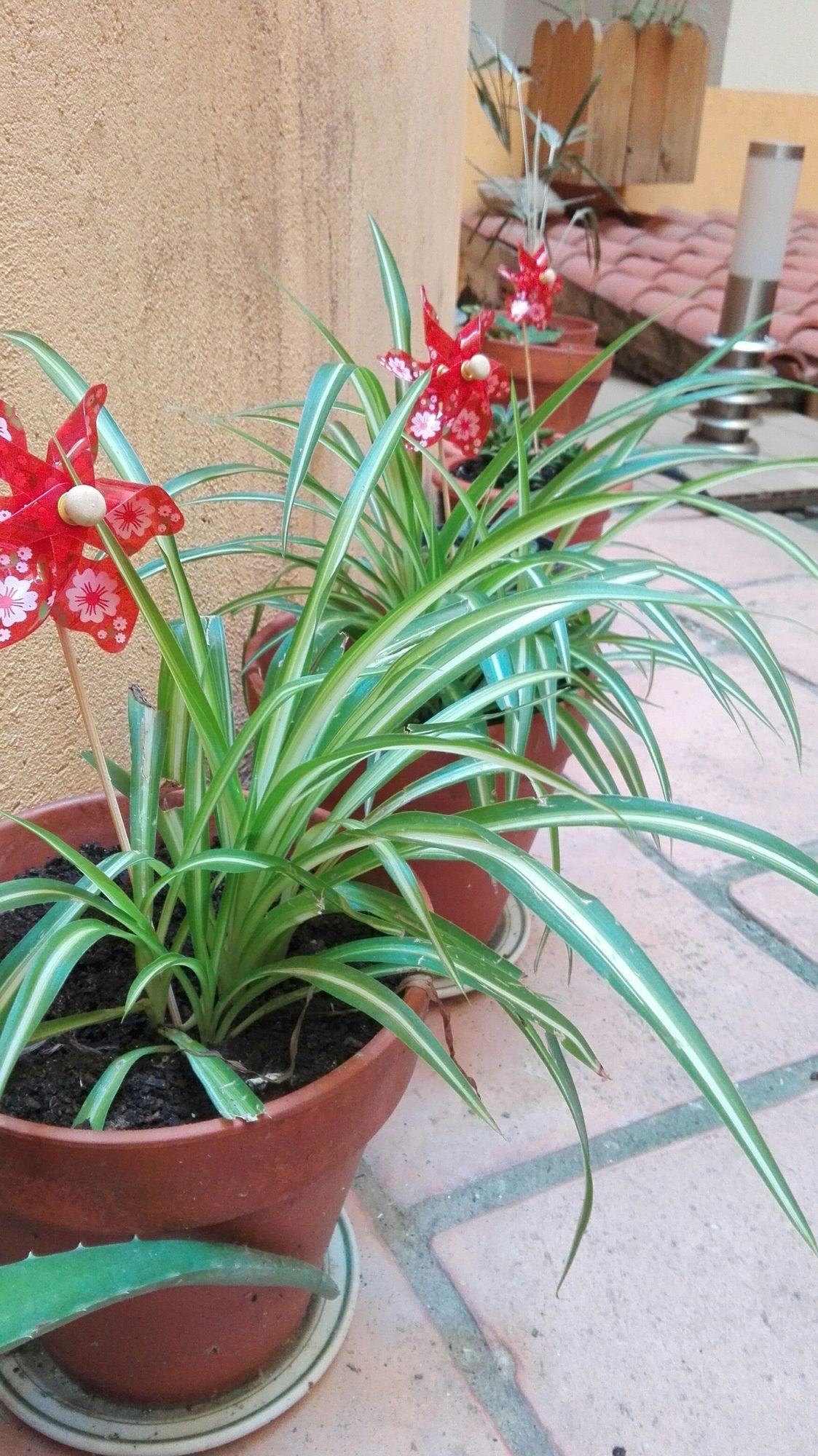 Фото Bypillow Erba