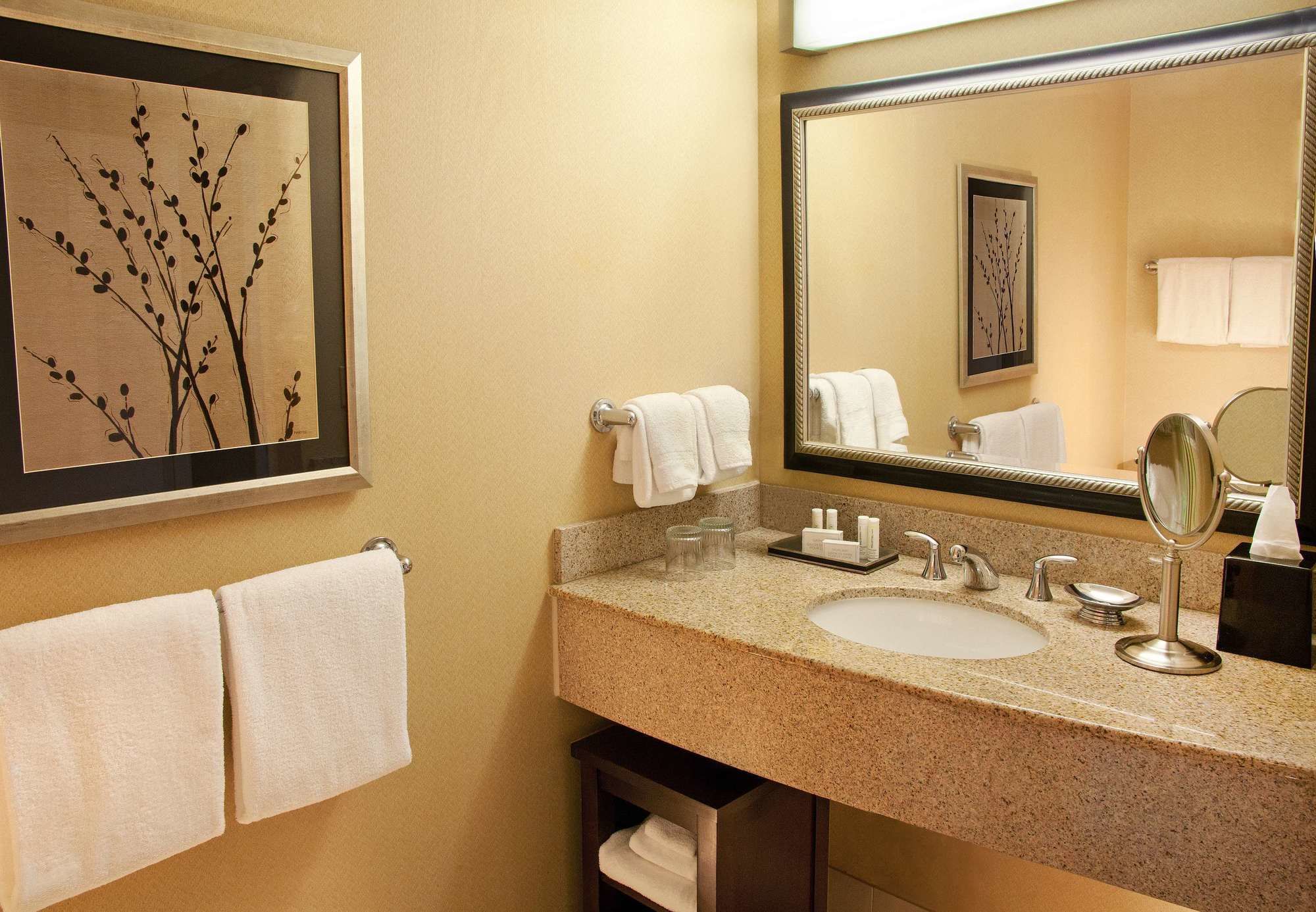 Фото Courtyard by Marriott Seattle Bellevue/Downtown