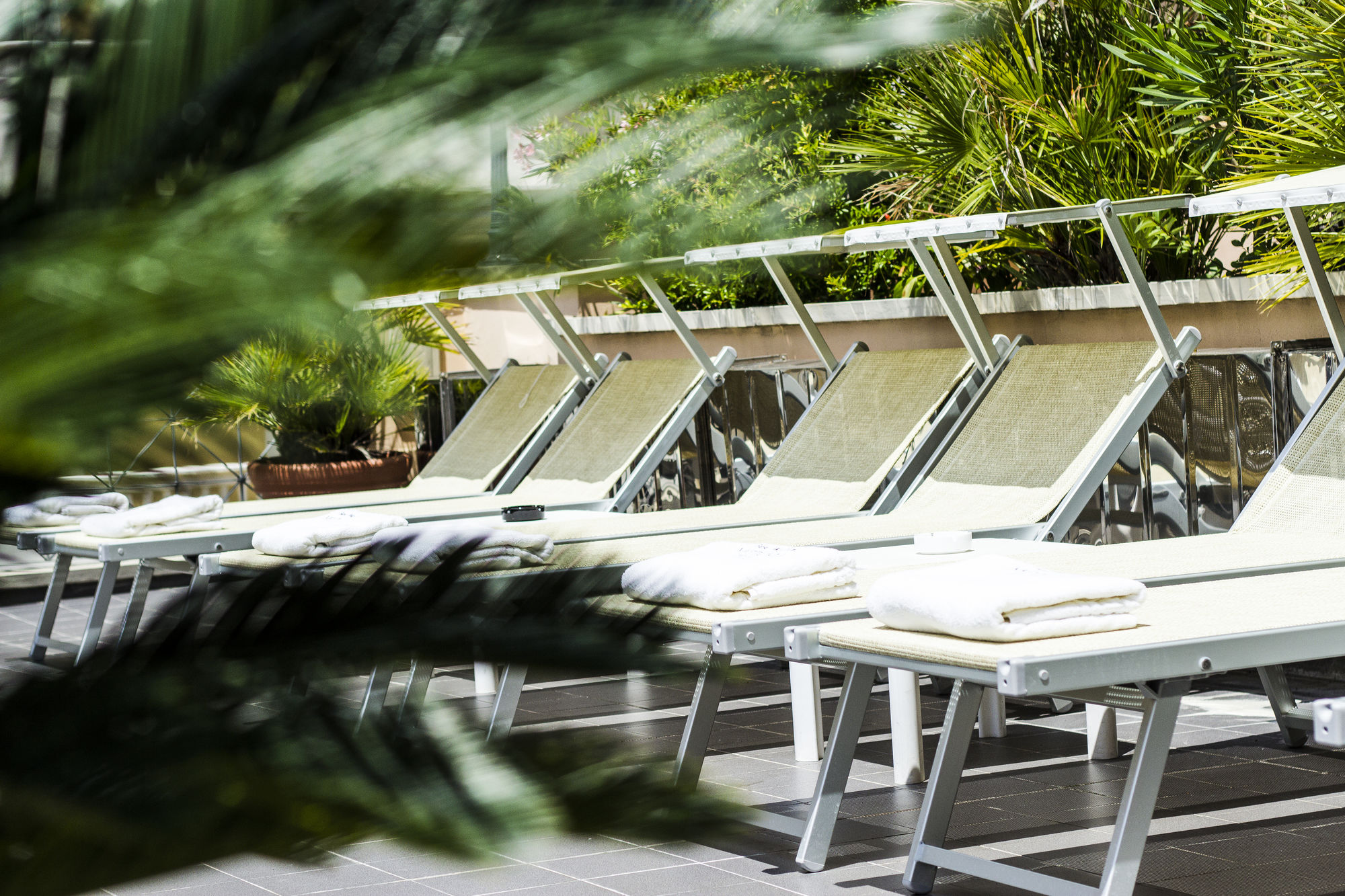 Фото Hotel Nettunia