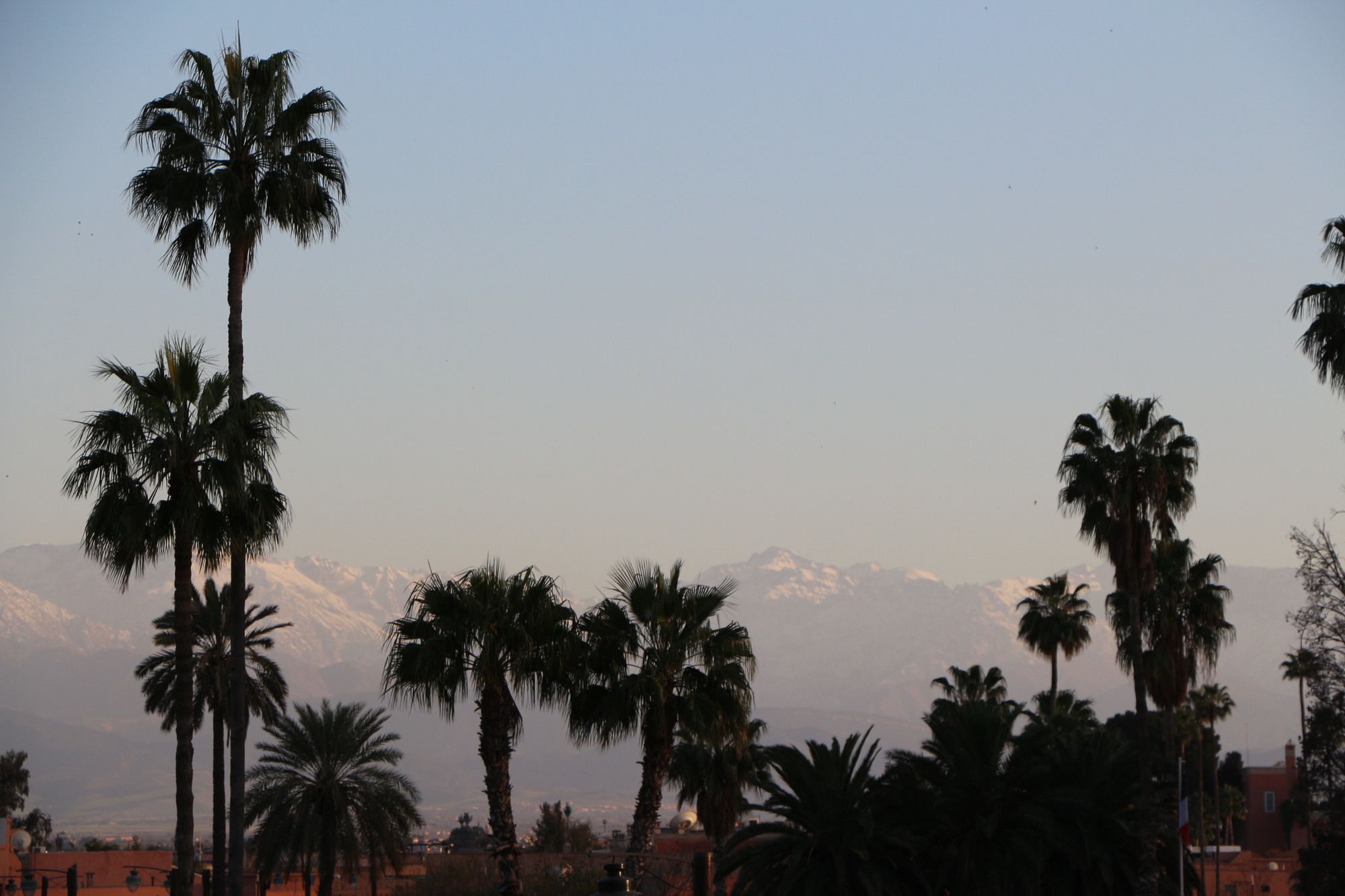 Фото 82502744235