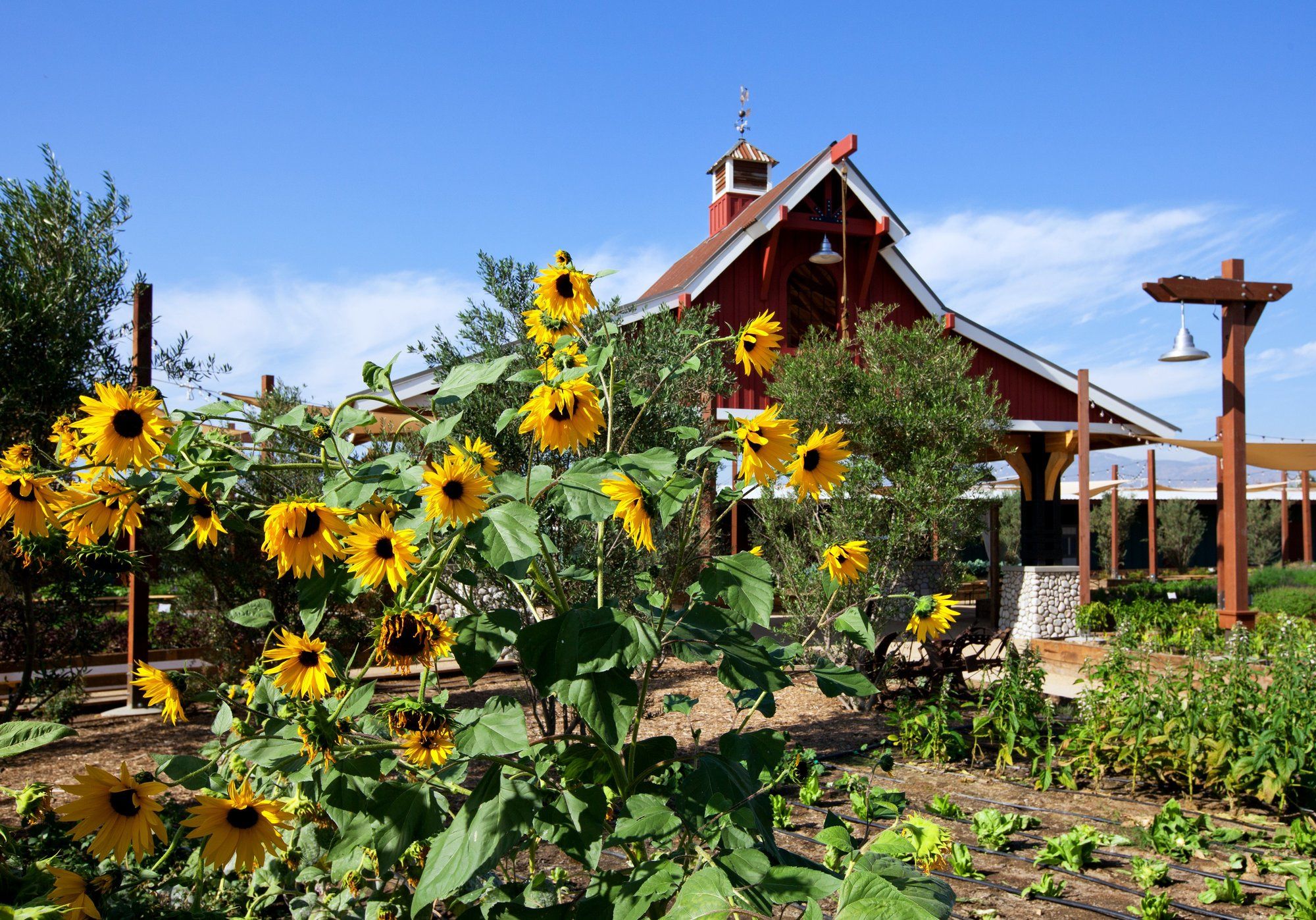 Фото Sheraton Fairplex Hotel & Conference Center