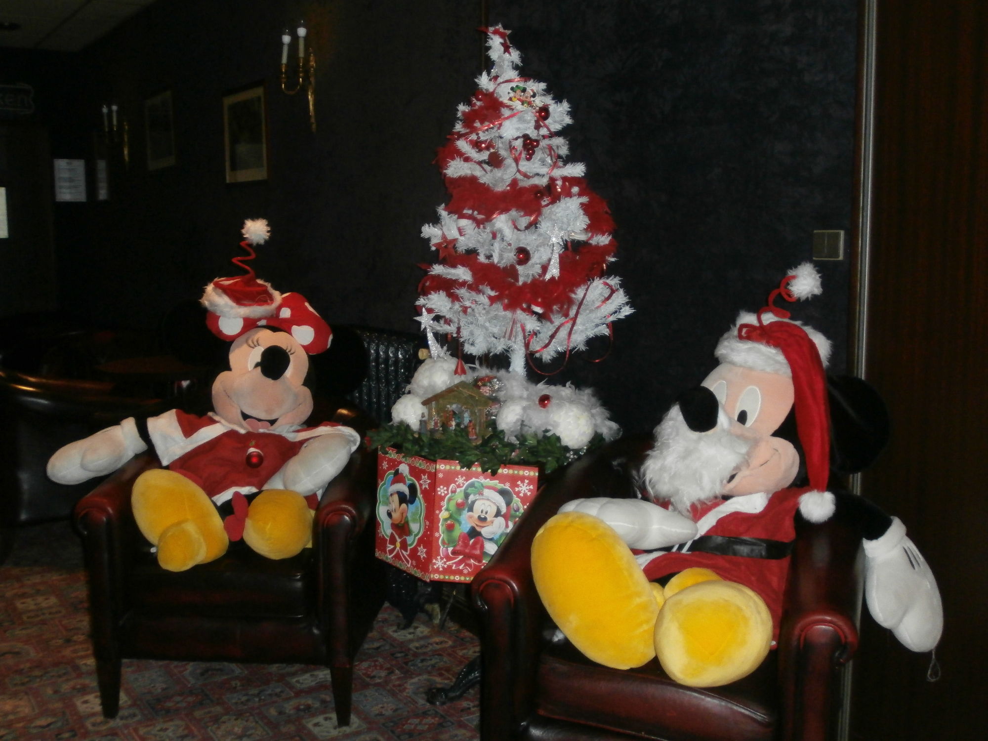 Фото Metropol Hotel