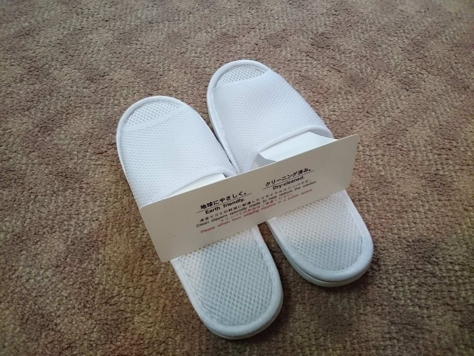 Фото Karuizawa Prince Hotel West