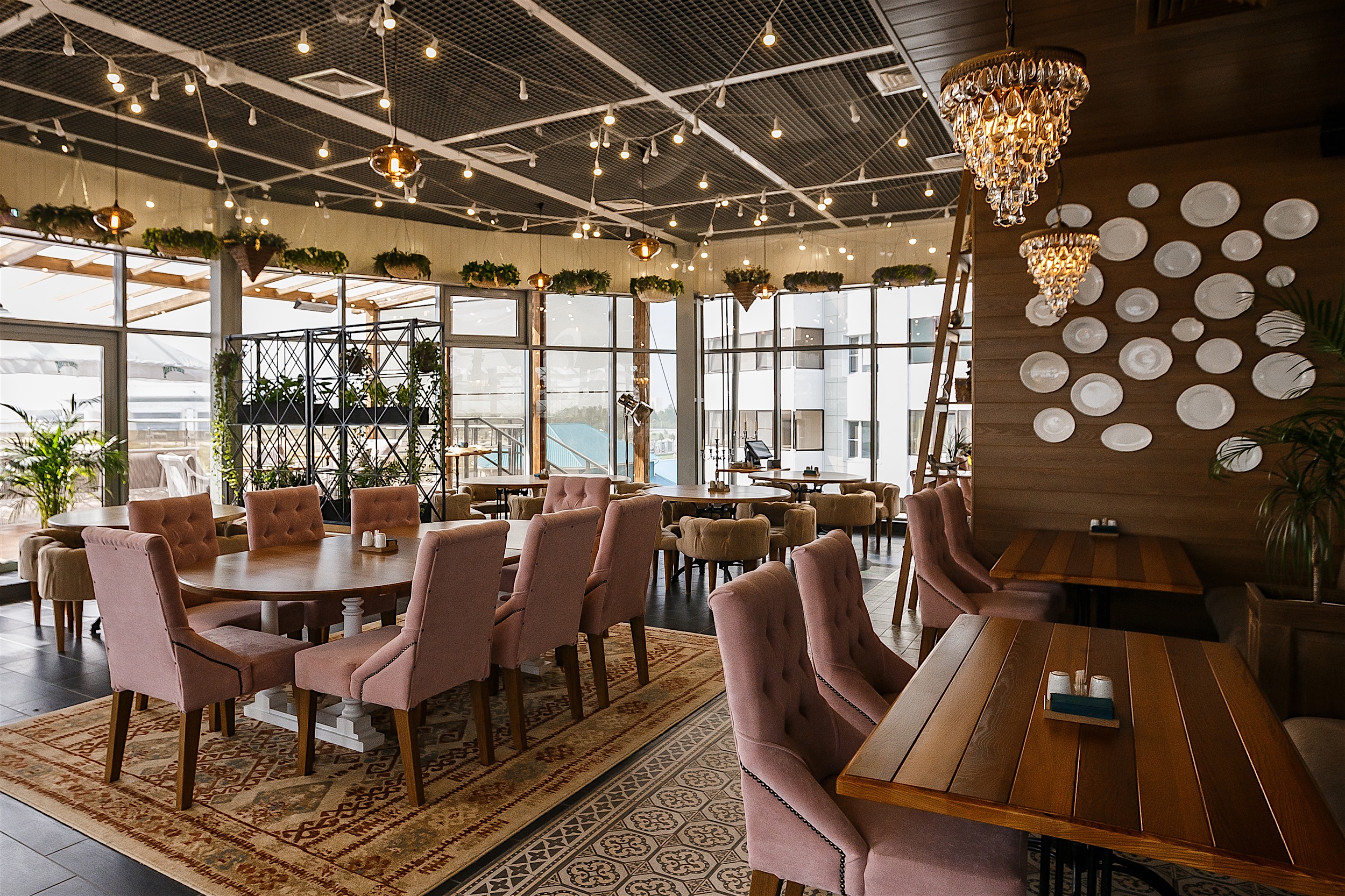 Фото Пеликан