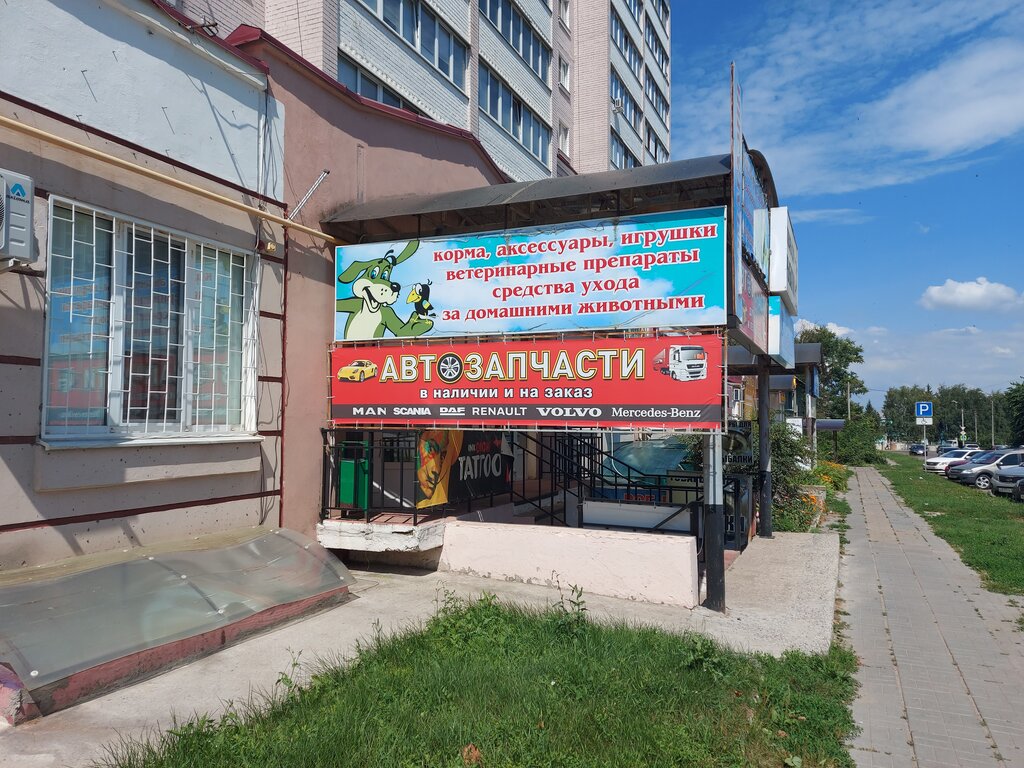 Auto parts and auto goods store Автозапчасти для грузовых и легковых автомобилей, Orel, photo