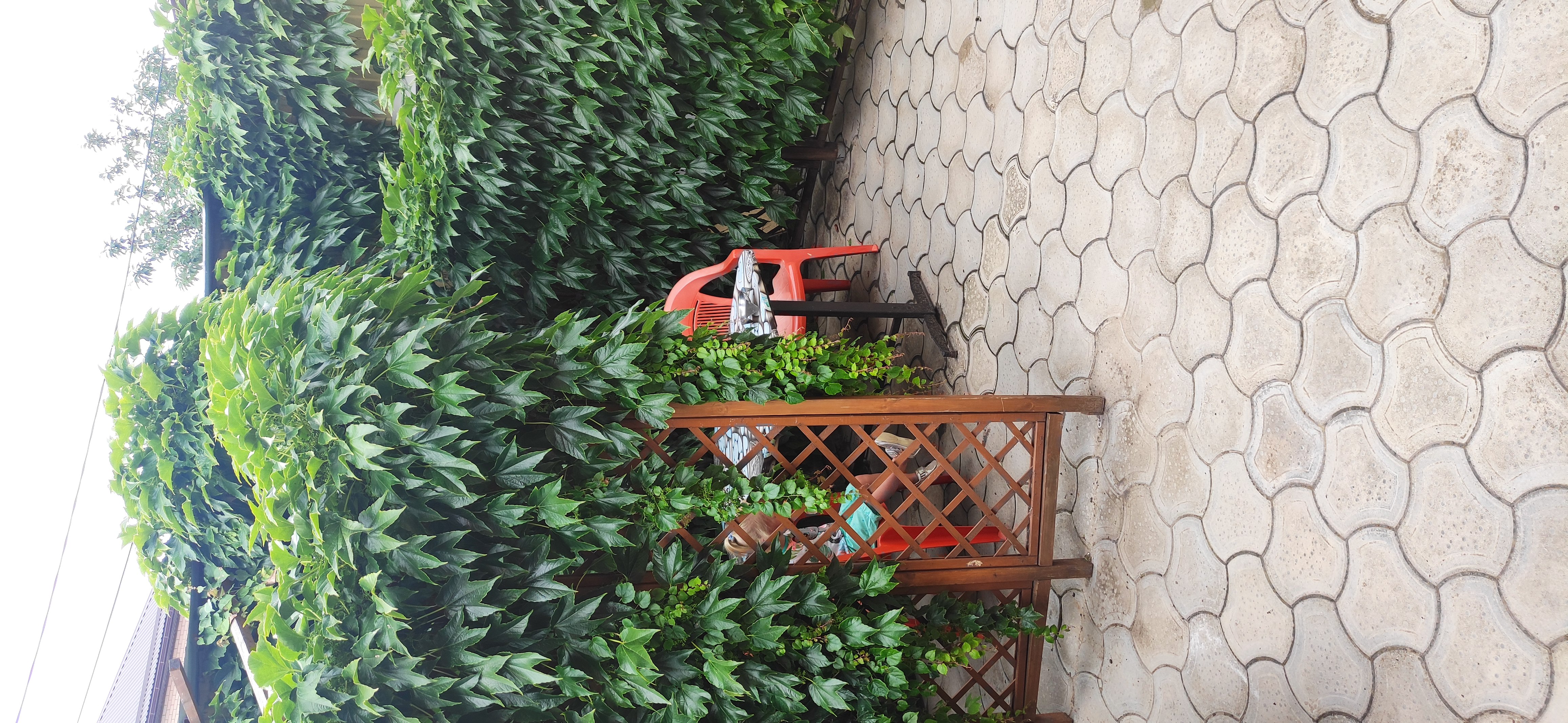 Фото Черномор