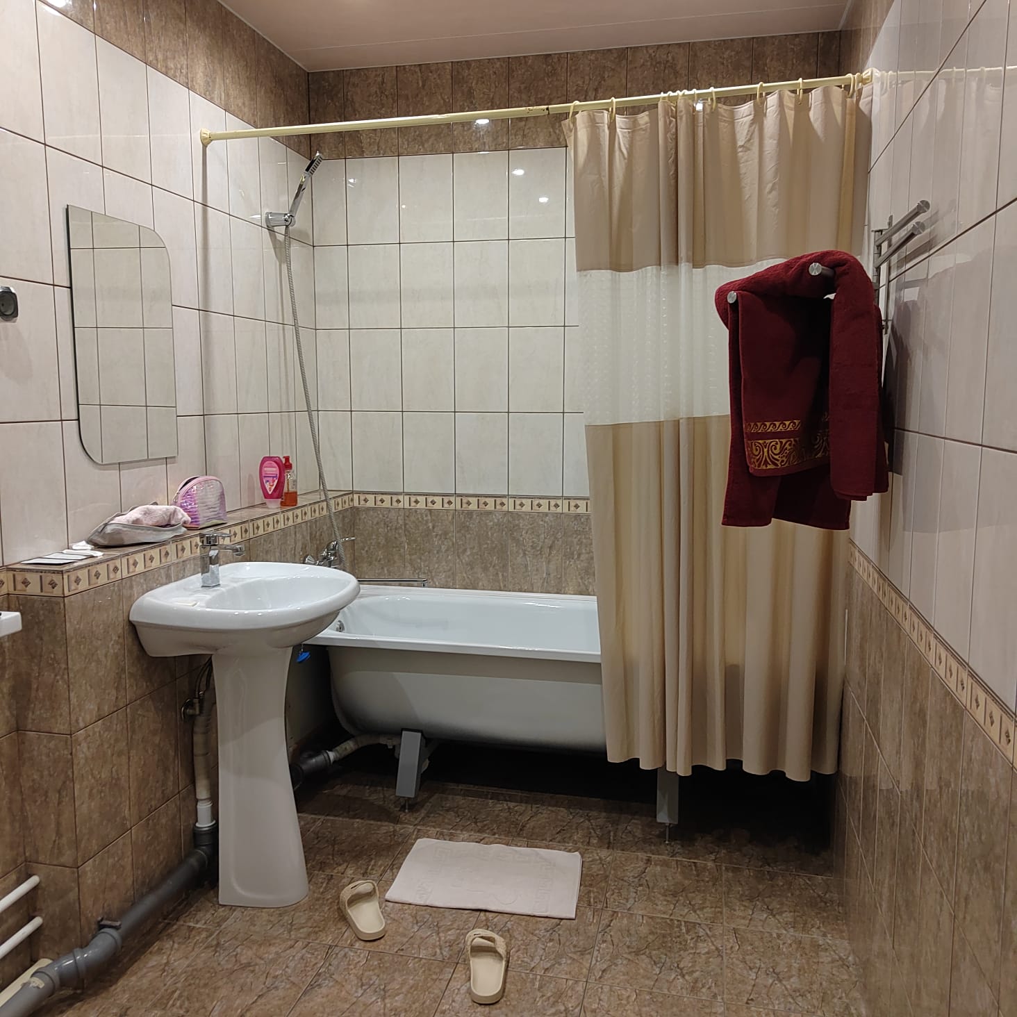 Фото Спутник