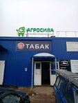 Agrosila (Obyezdnoy trakt, 23/17) ، محل بقالة