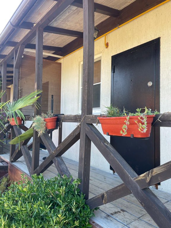 Фото Лесное царство