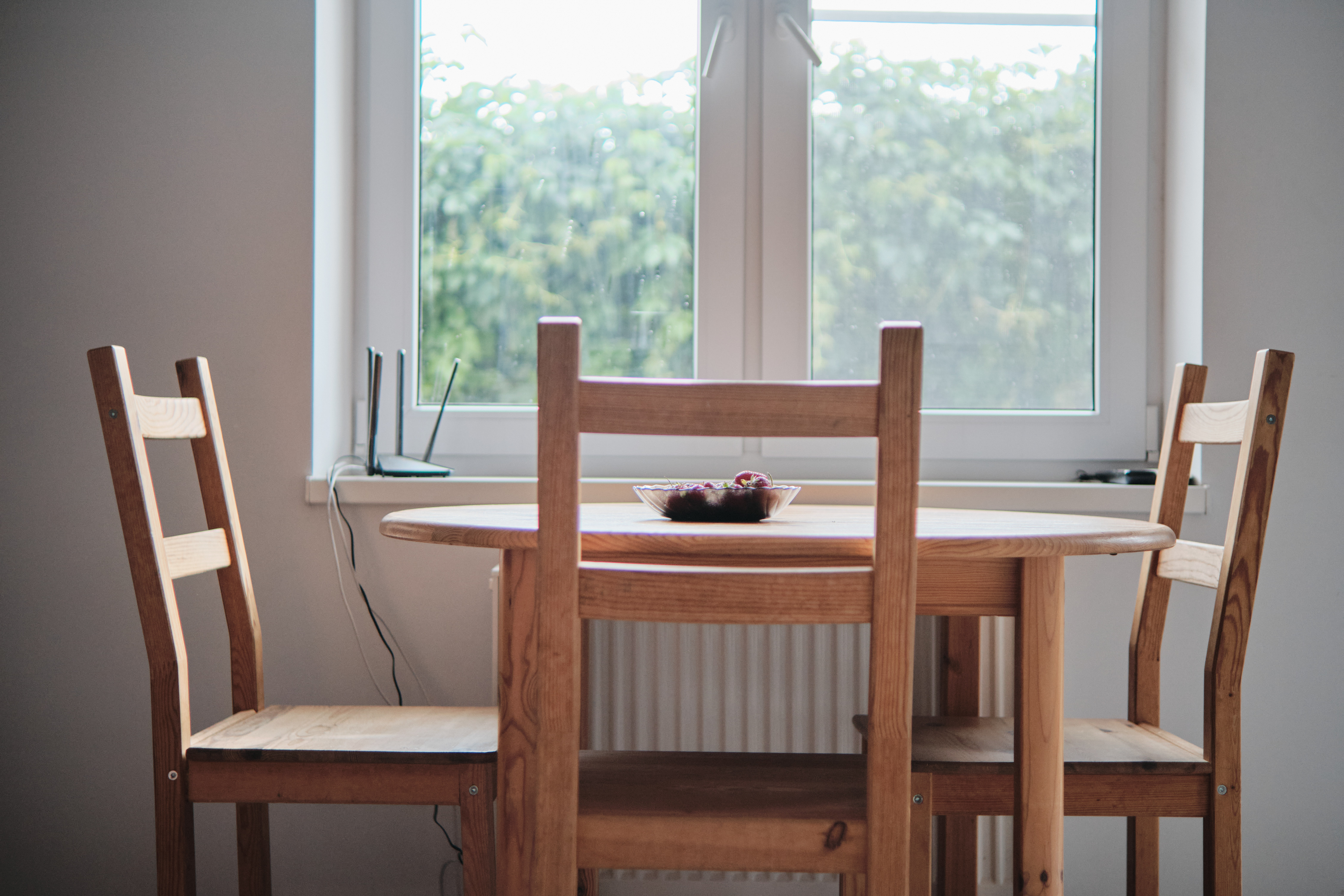 Фото Солнечная орхидея