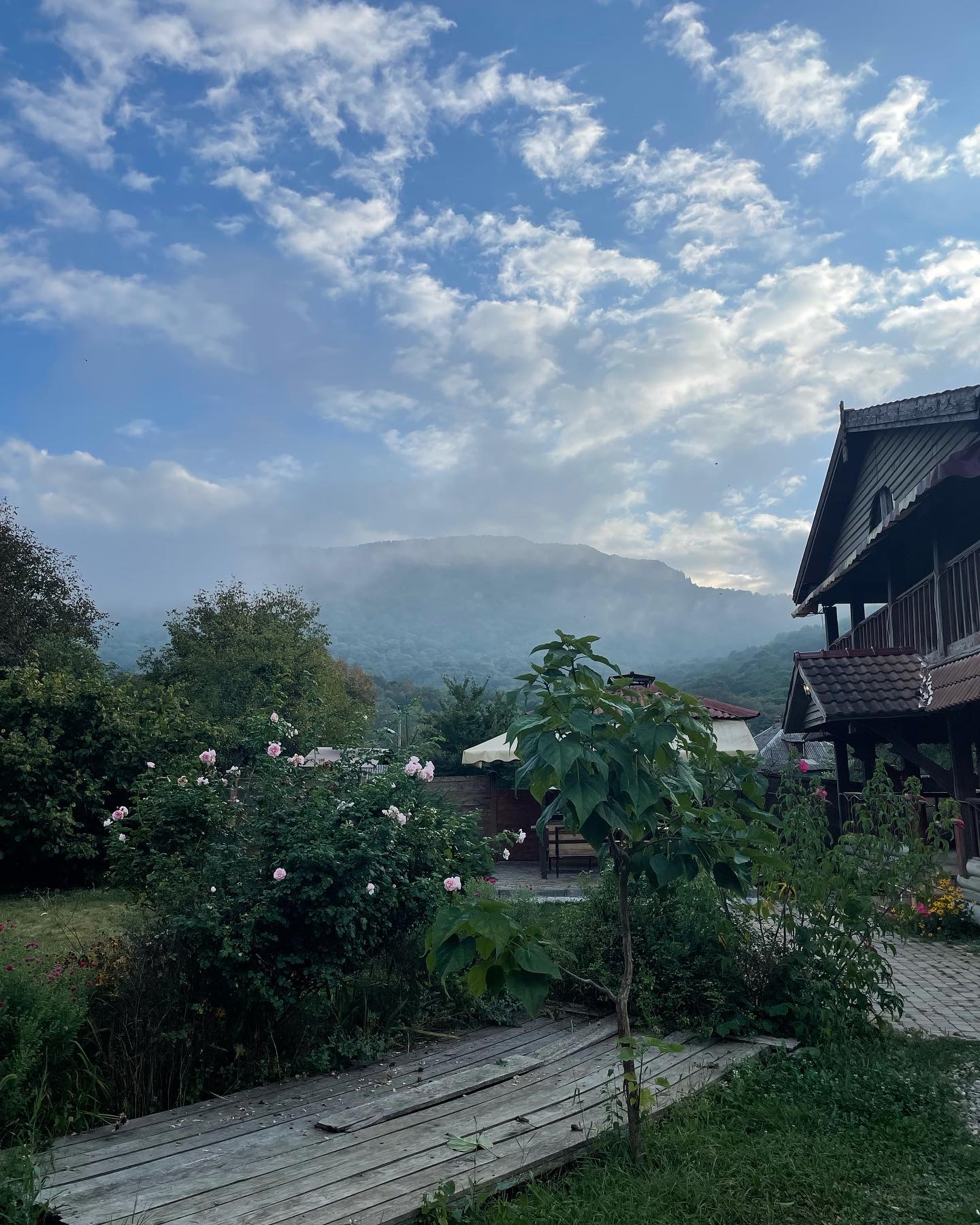 Фото Эколодж