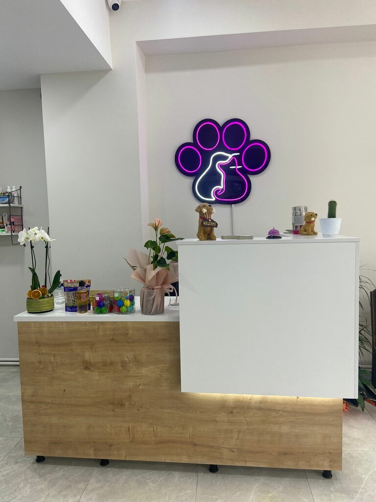 Veterinary clinic Patimed Veterinary Clinic, Istanbul, photo