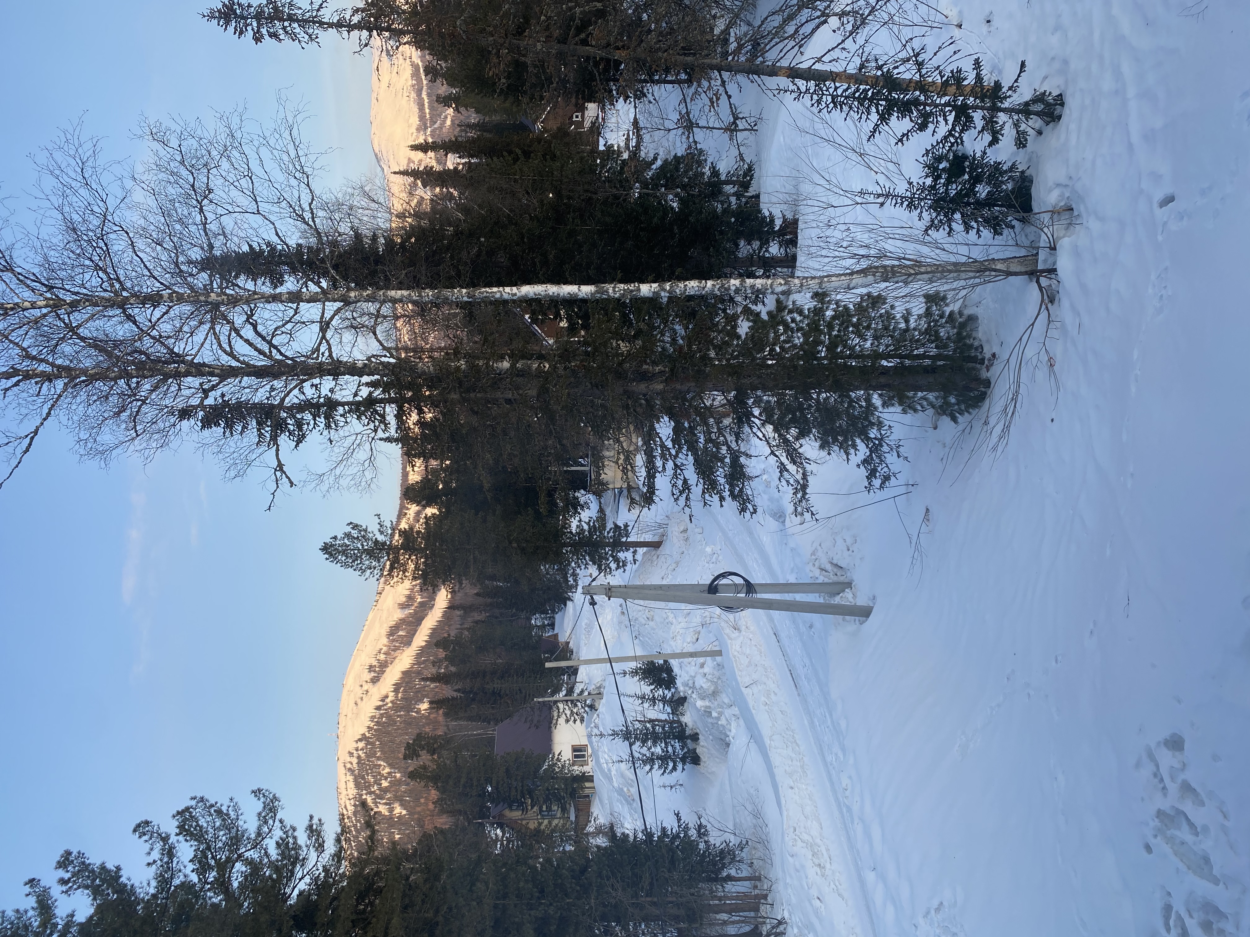 Фото Сила Сибири