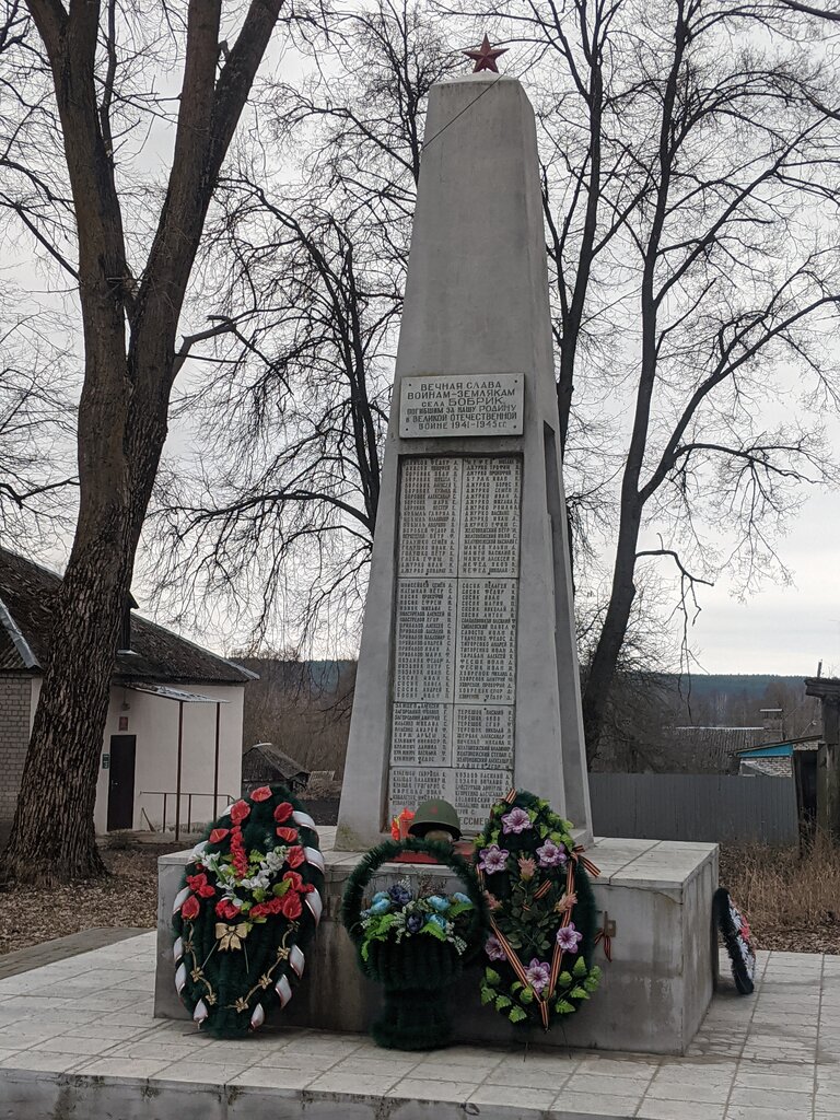 Monument, memorial Вечная слава воинам-землякам села Бобрик, Bryansk Oblast, photo