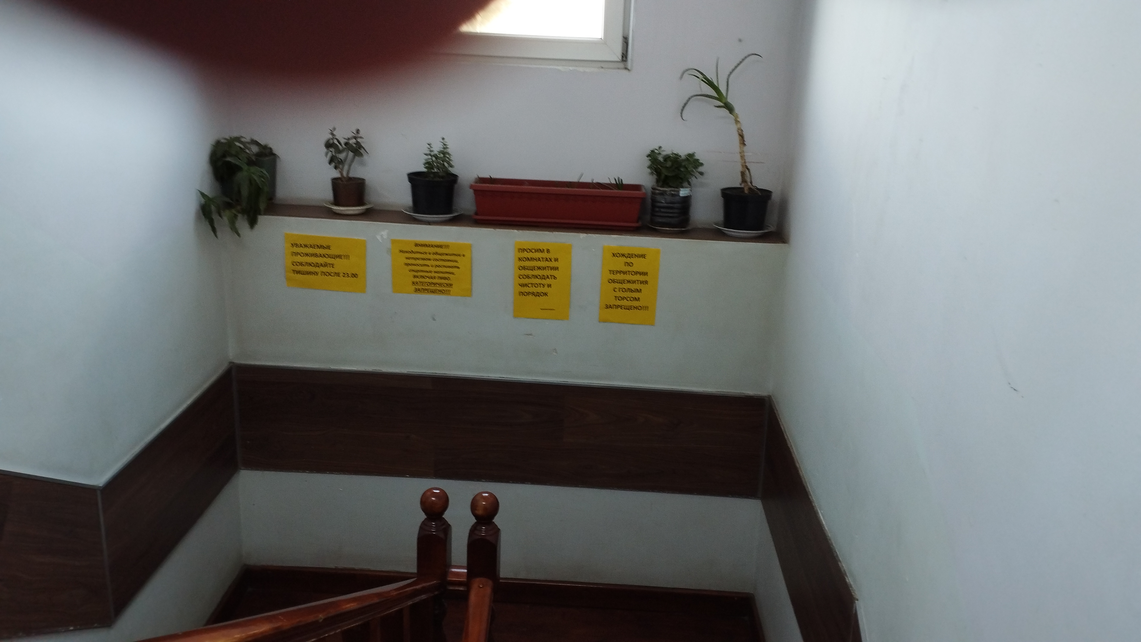 Фото ХотелХот Михайловская Слобода