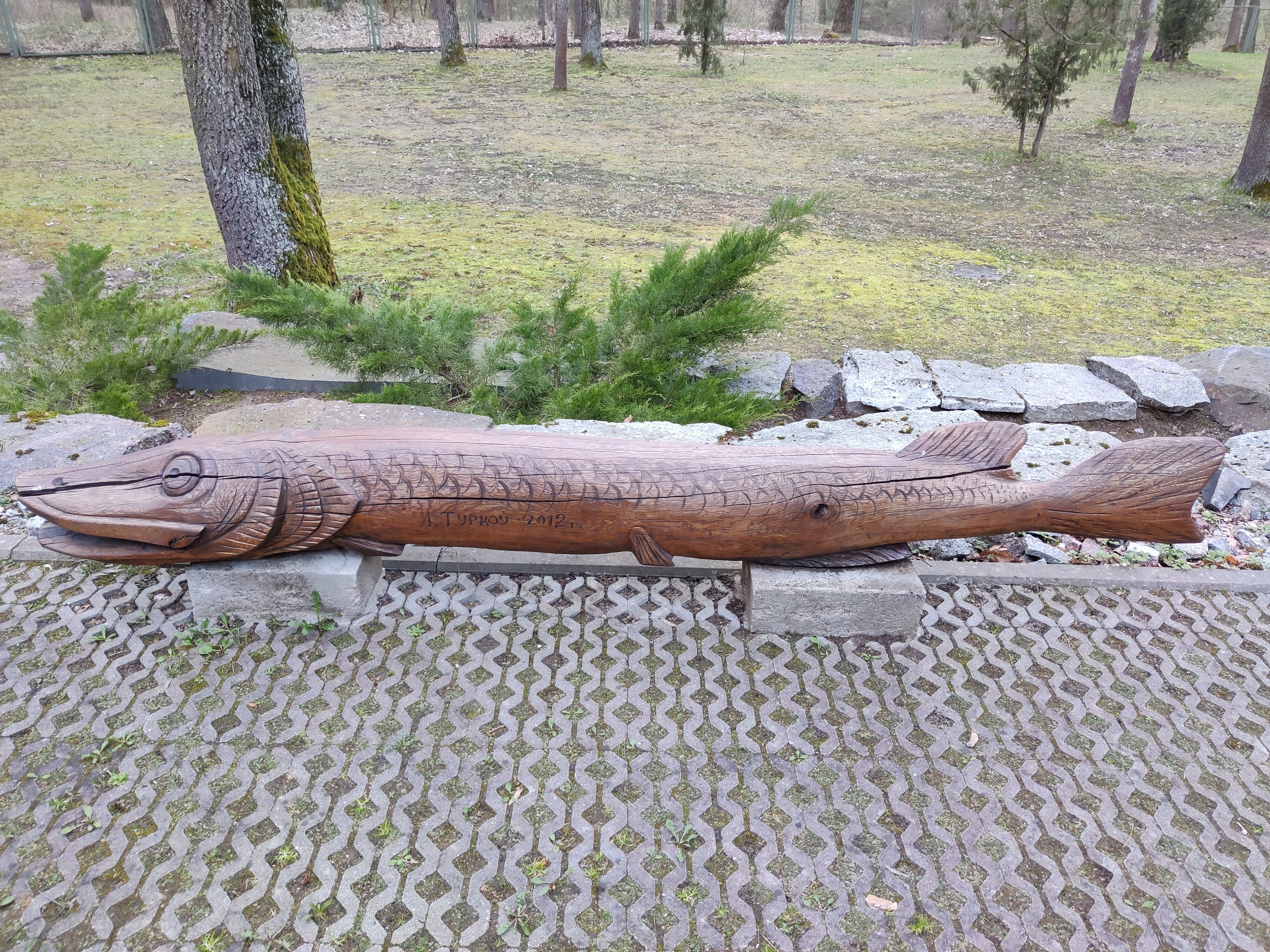 Фото Жемчужина