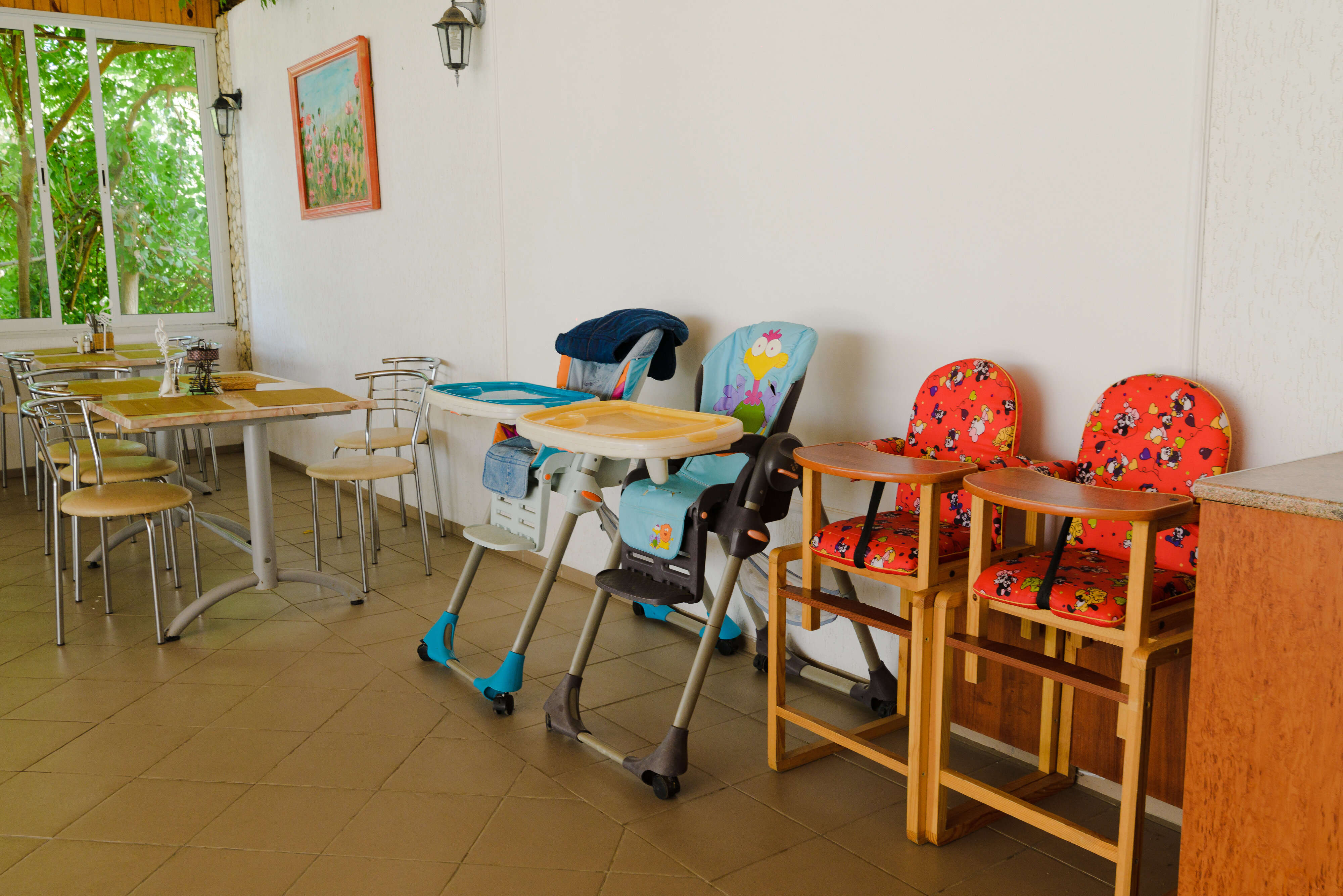 Фото Альбатрос