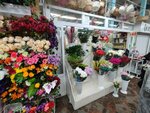 Wild orhid (Yuriya Gagarina Street, 1), flower shop