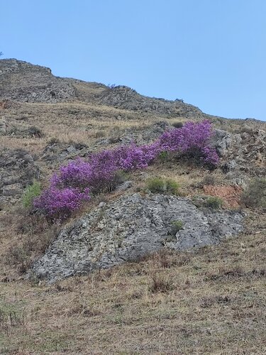 Внешний вид отеля Точка в горах Алтая в Чемале, фото 3