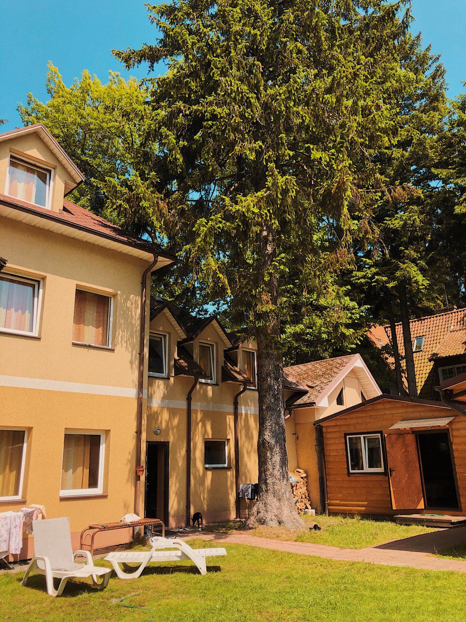 Фото Навигатор