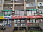 Vash yurist (posyolok Beryozovy, 2-ya Tselinogradskaya ulitsa, 44к2), legal services
