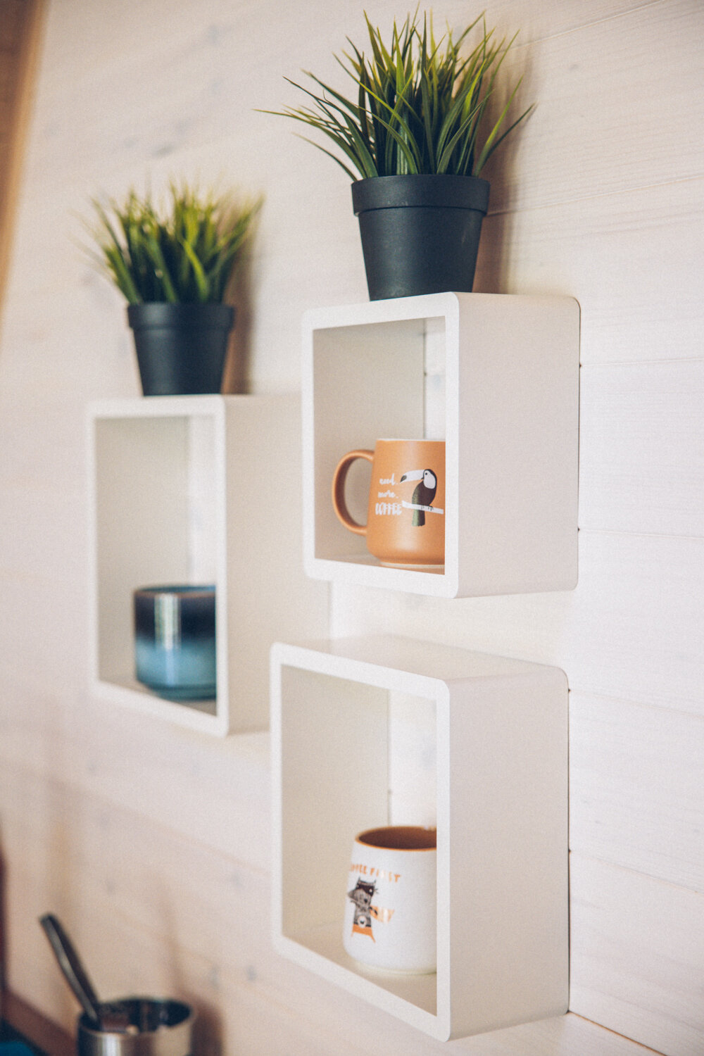 Фото Ёлки Кэмп