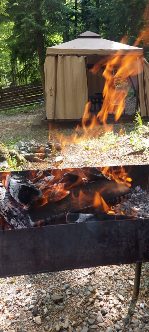 Фото Дубрава