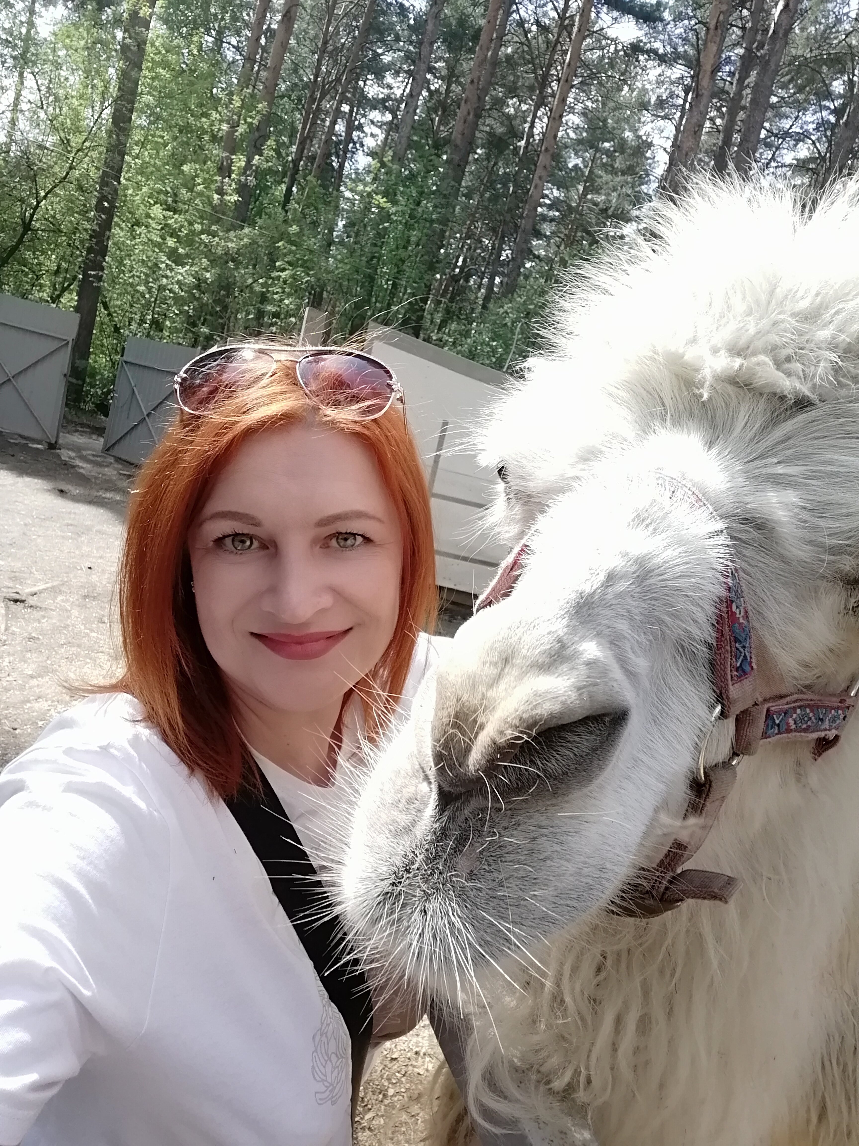 Фото Чкаловские Дачи