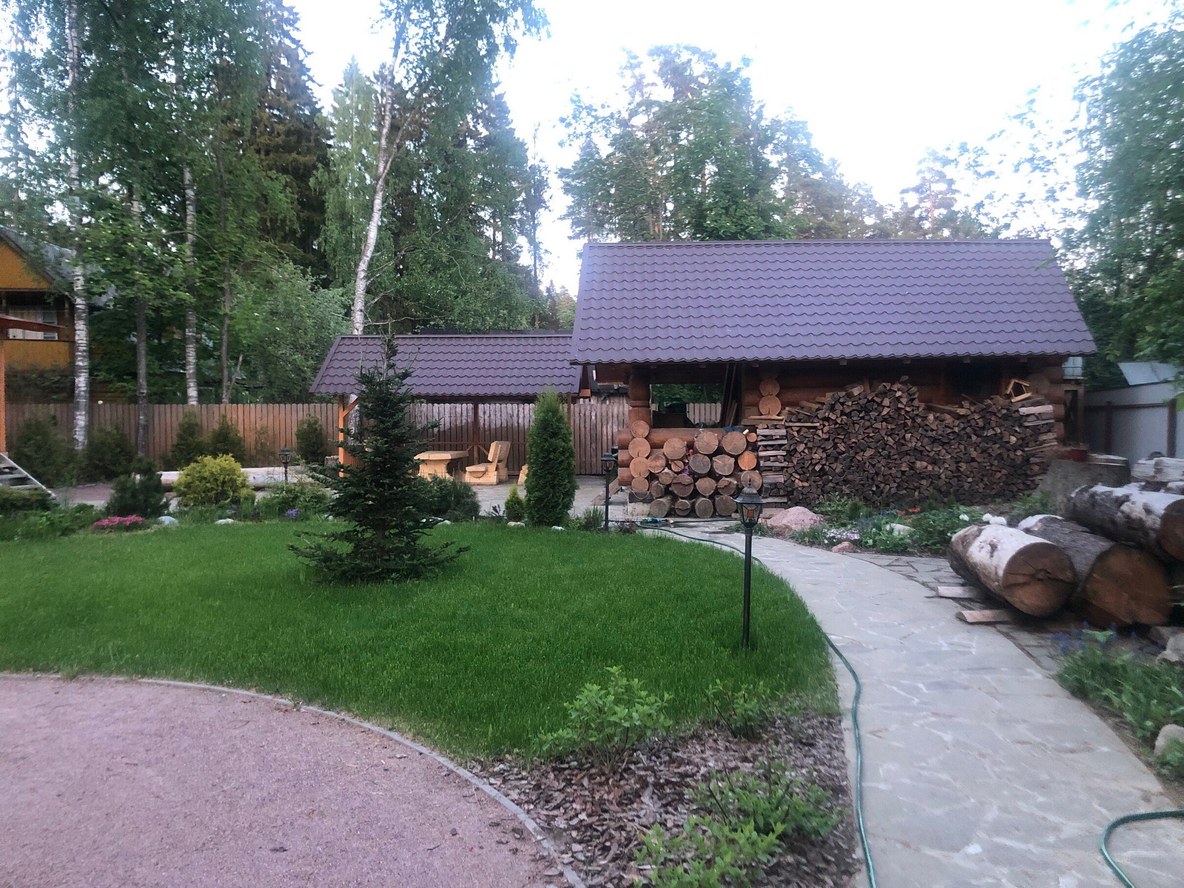 Фото Вырицкий мамонт