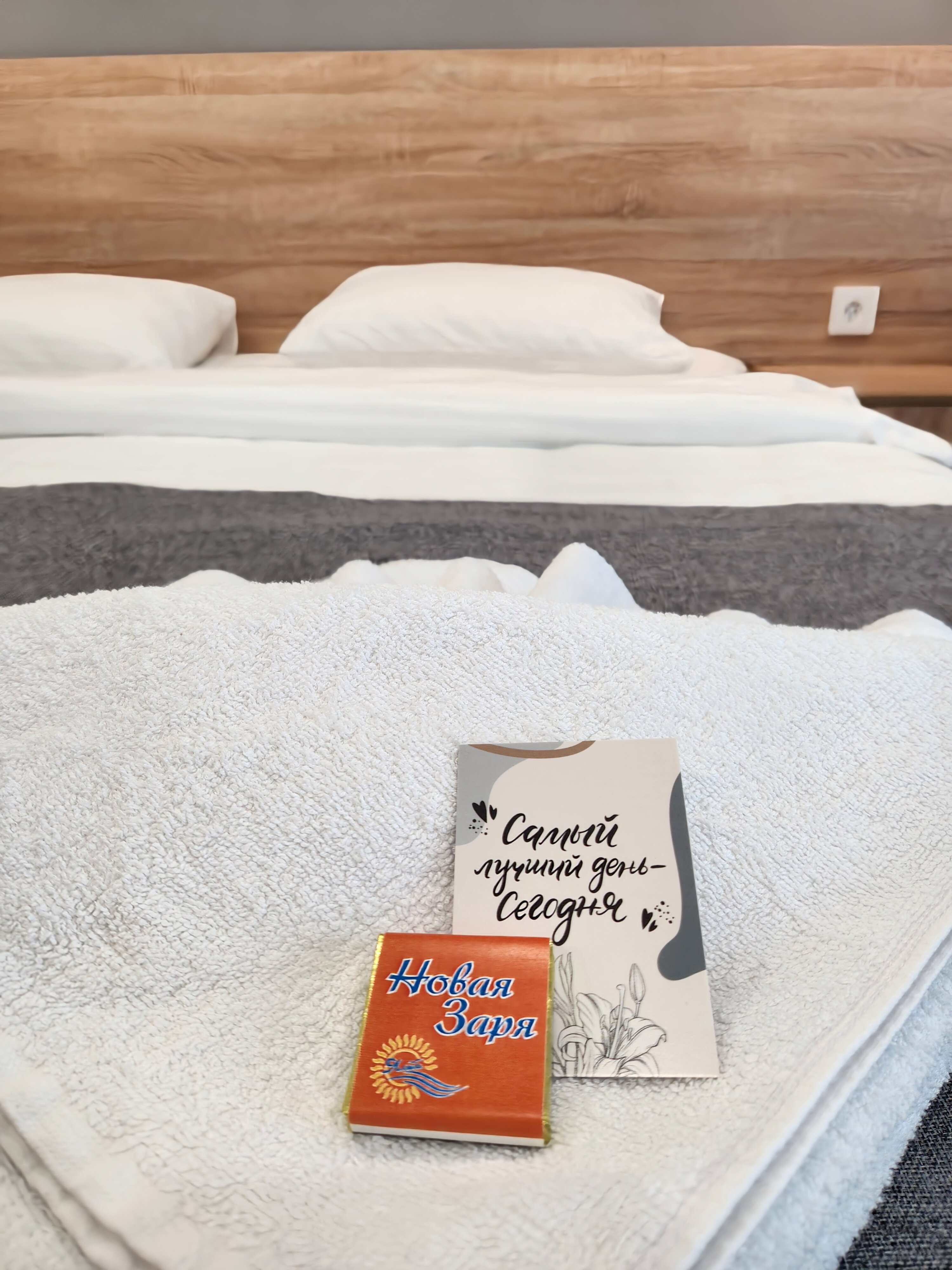 Фото Новая Заря