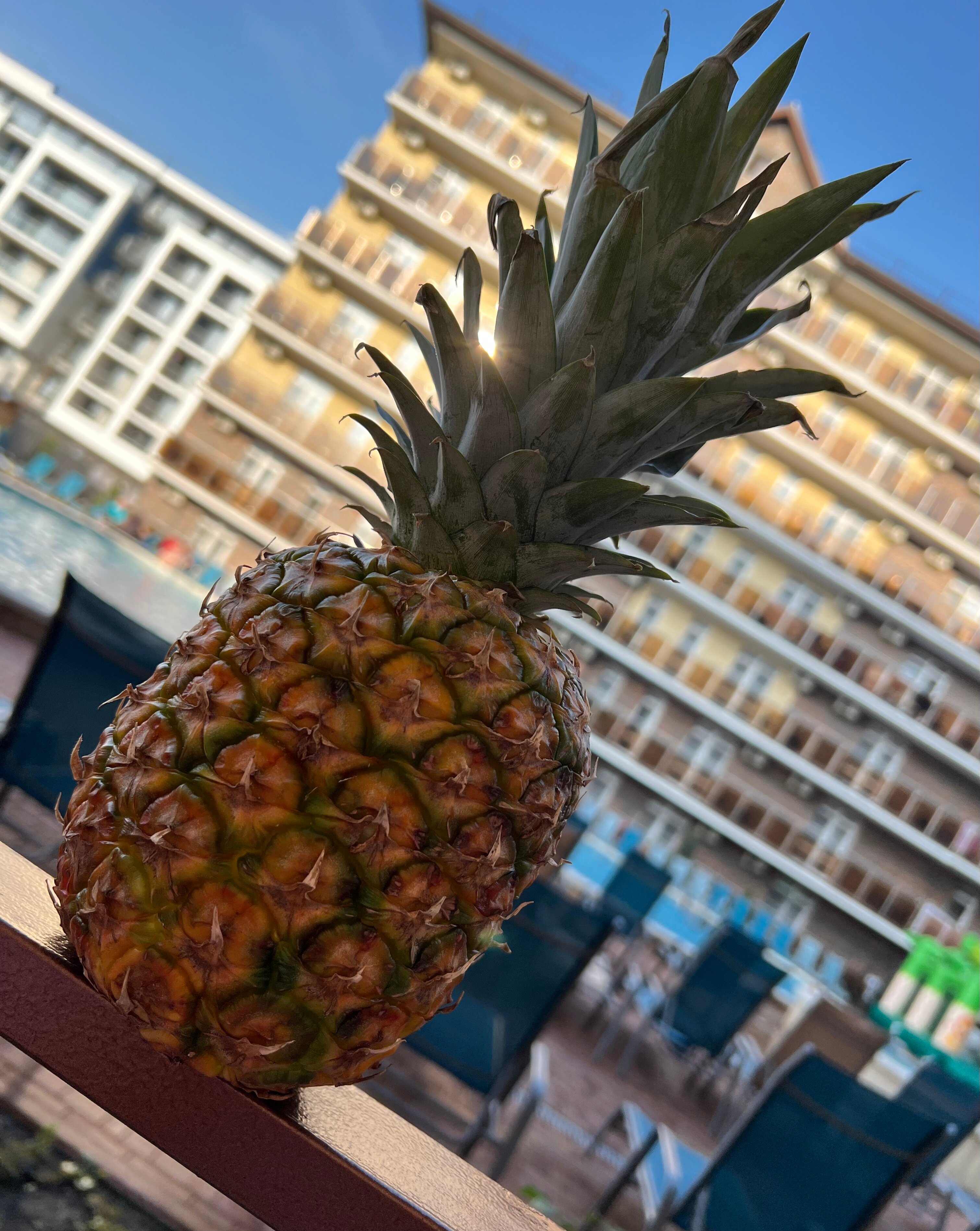 Фото Акрополис