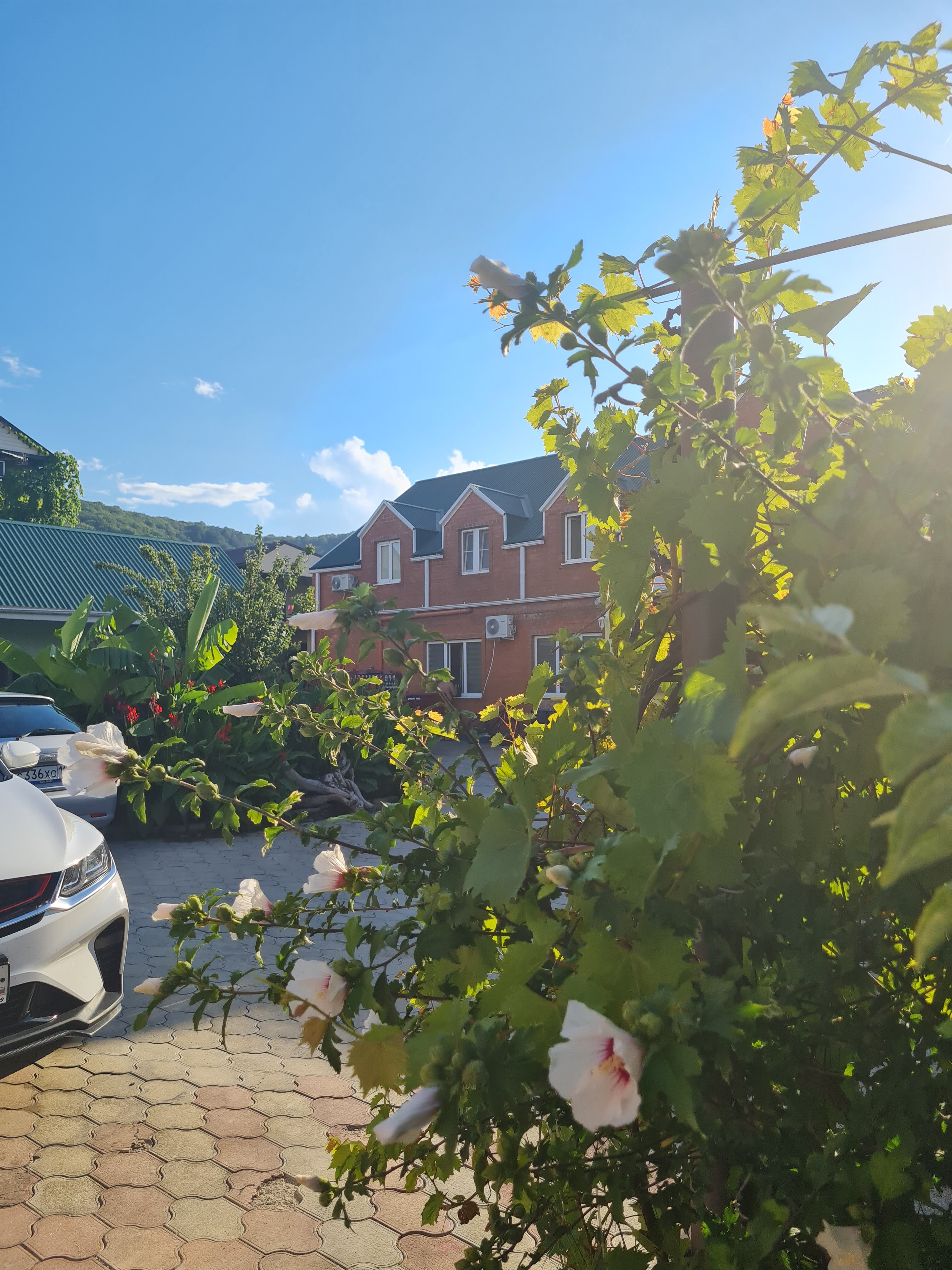 Фото Эскаргот