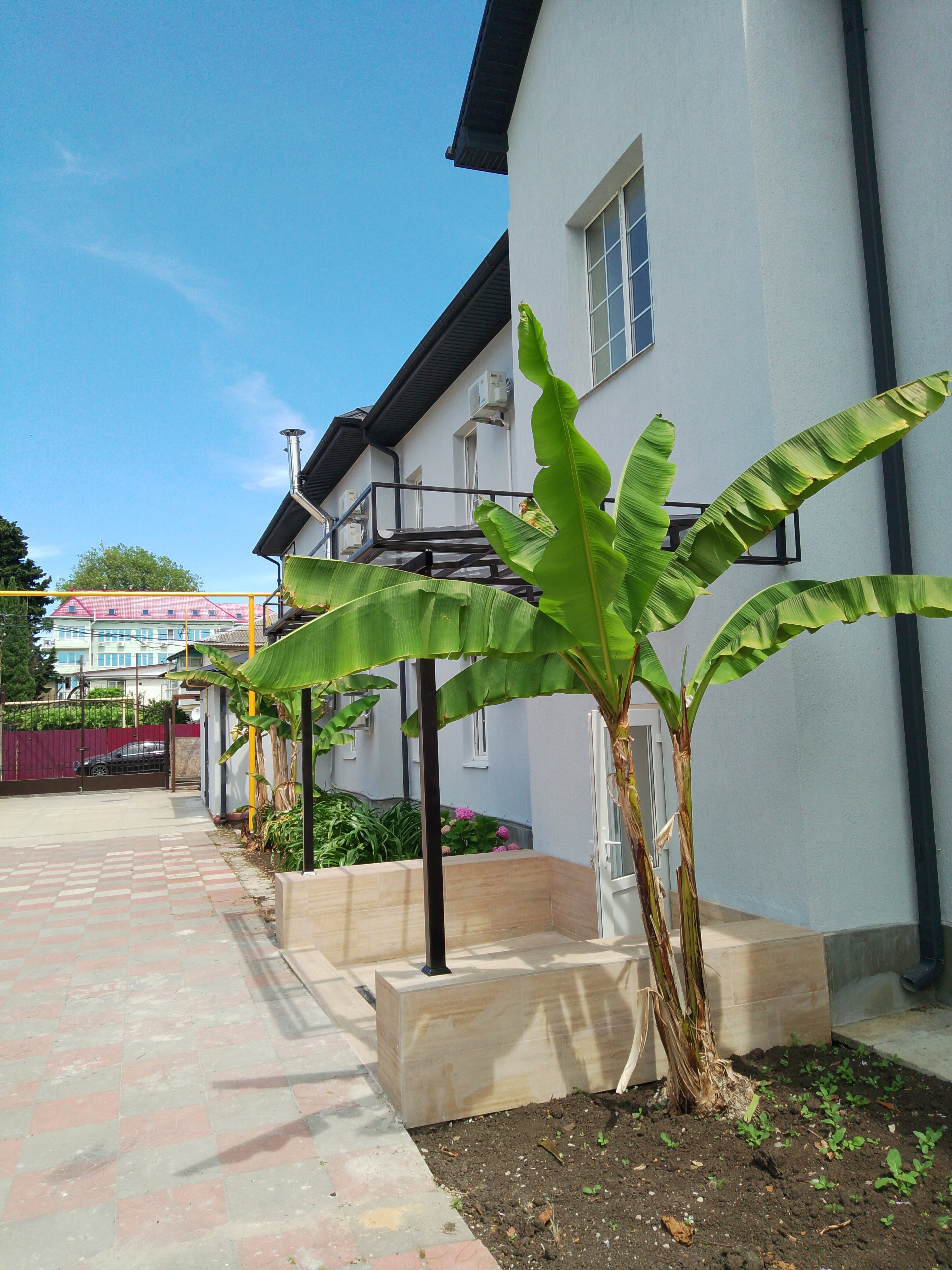 Фото Кронштадт