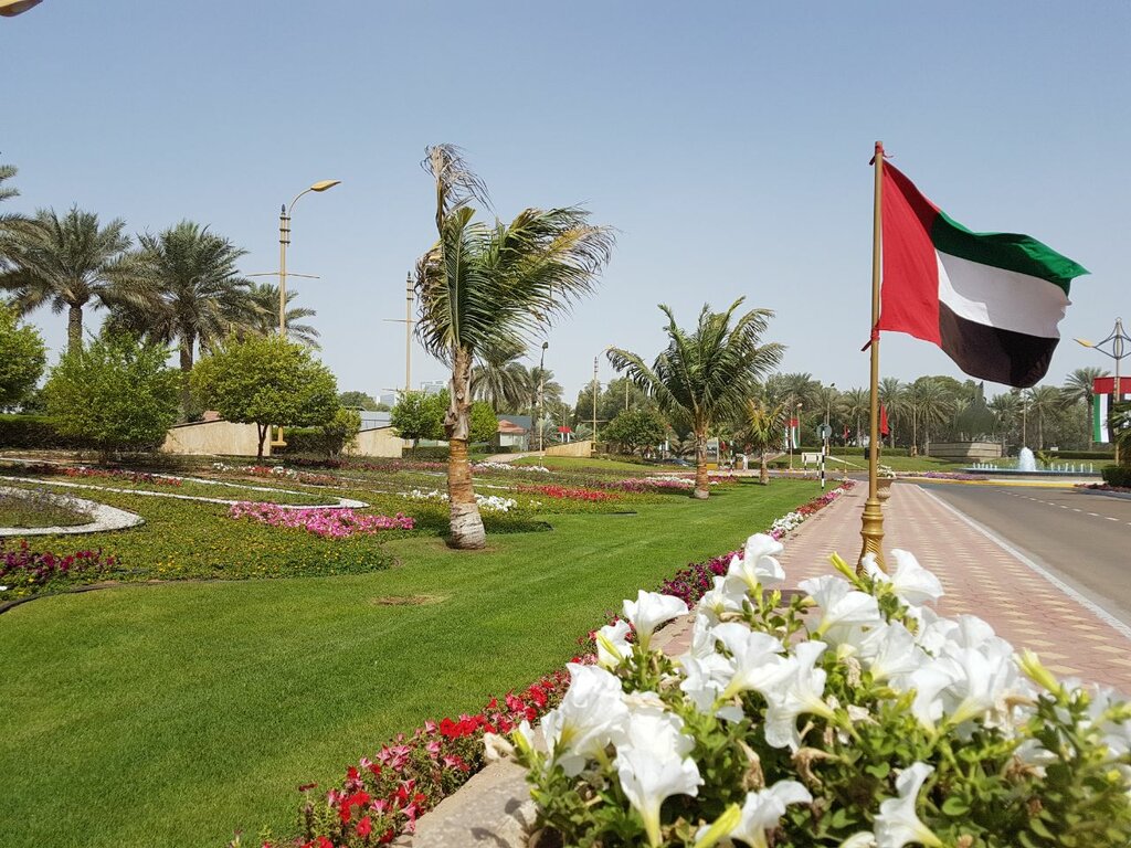 Landscaping of premises Emirates Landscape LLC, Abu Dhabi, photo