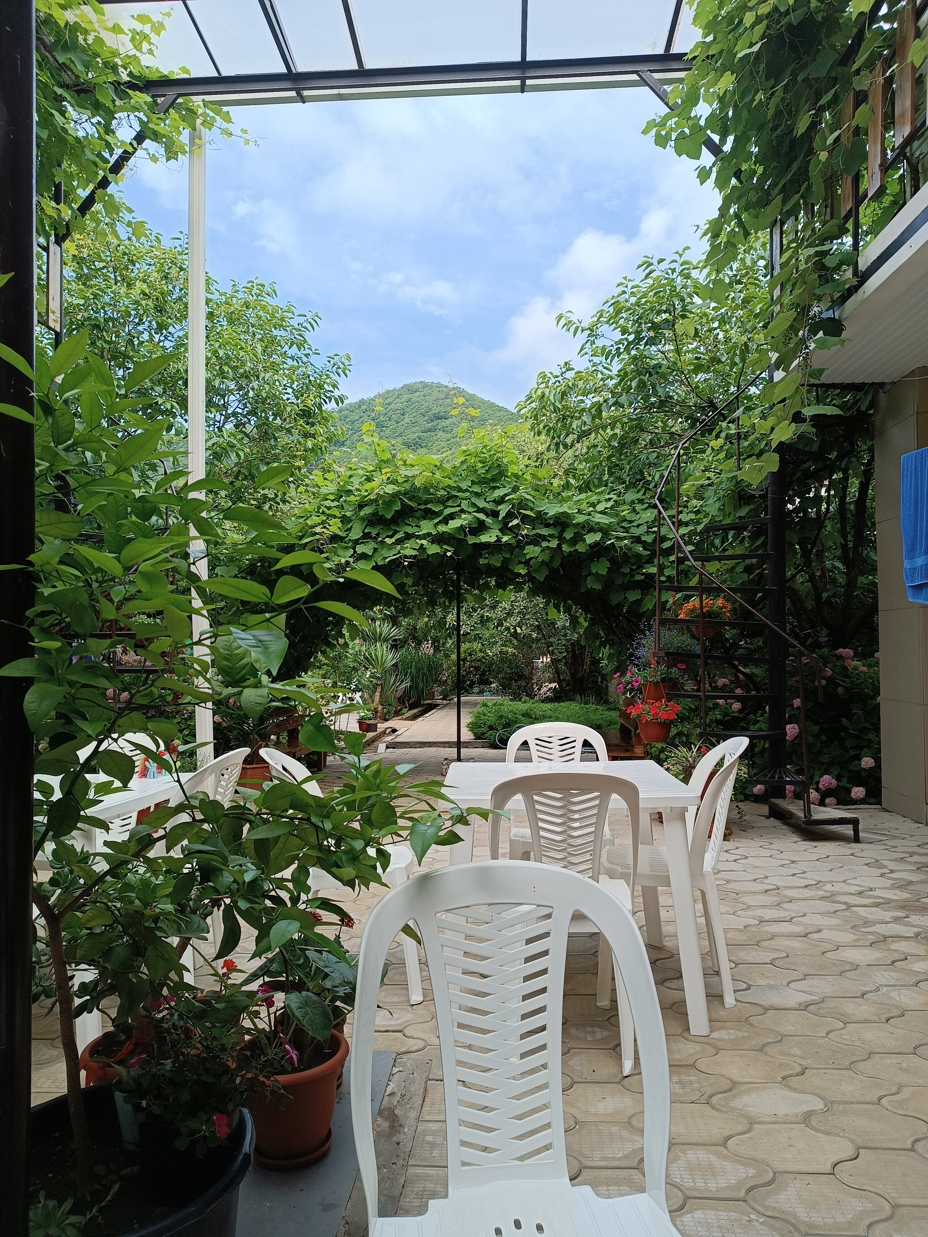 Фото Гостевой дом Ростовский дворик