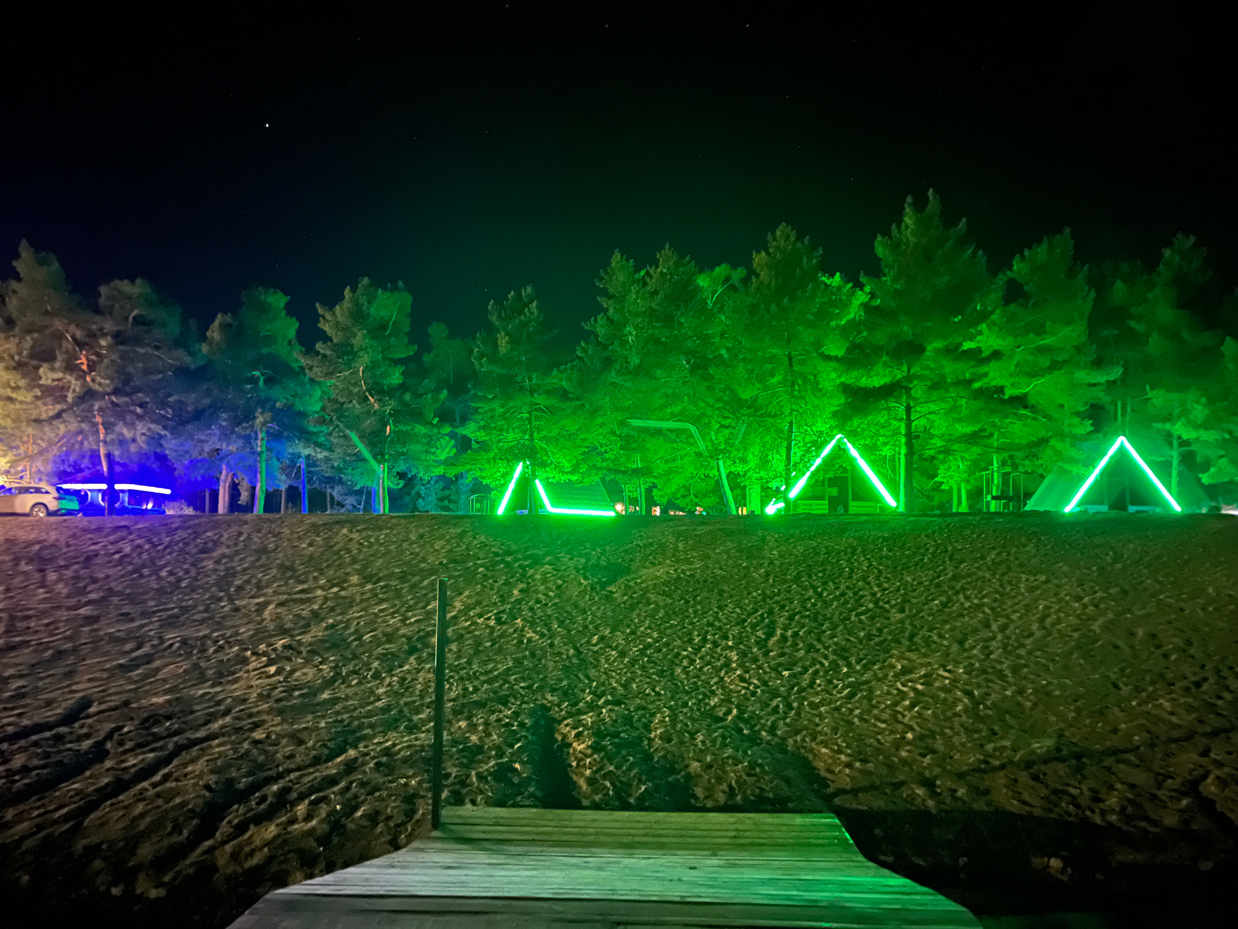 Фото Кукушка