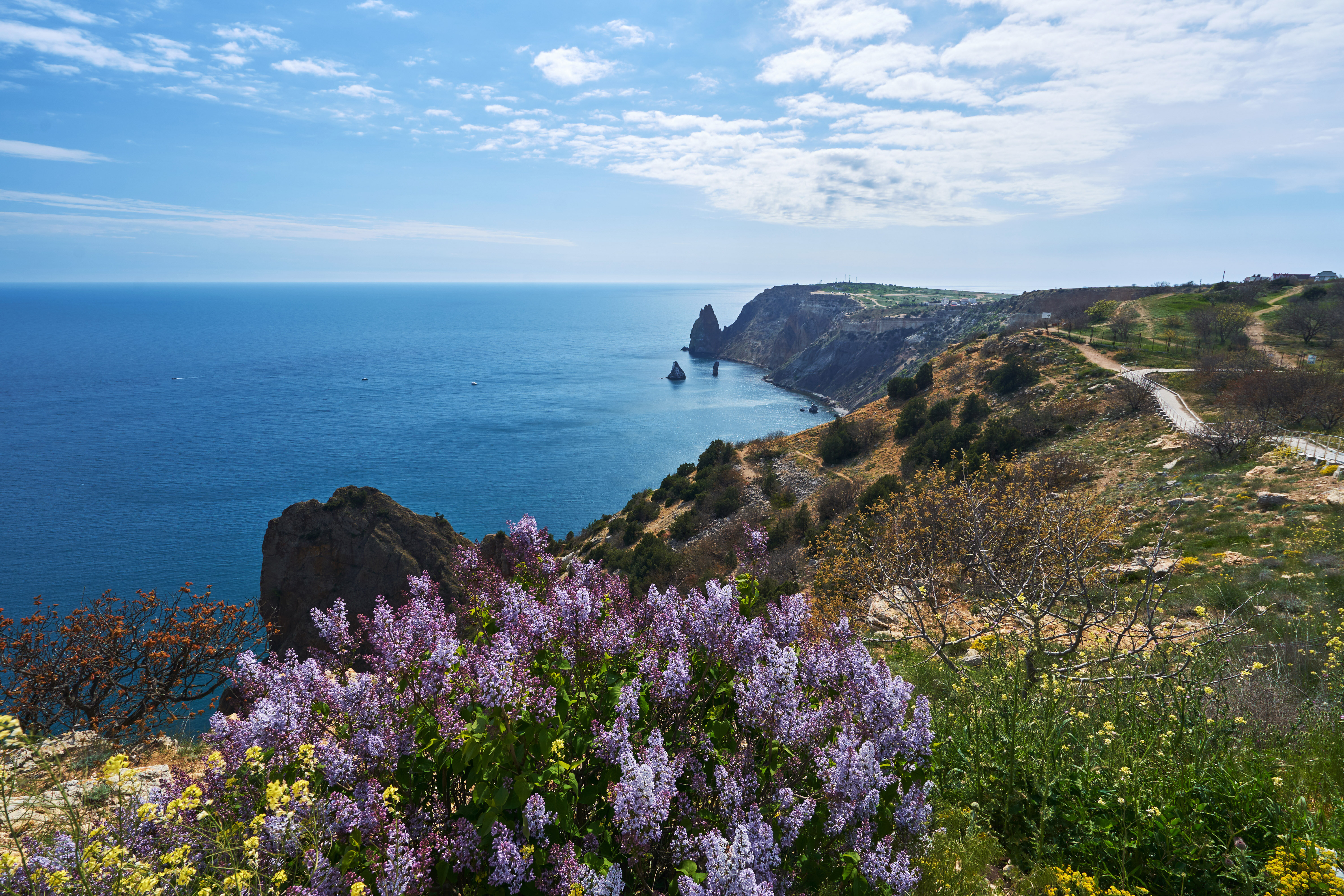 Фото Афалина