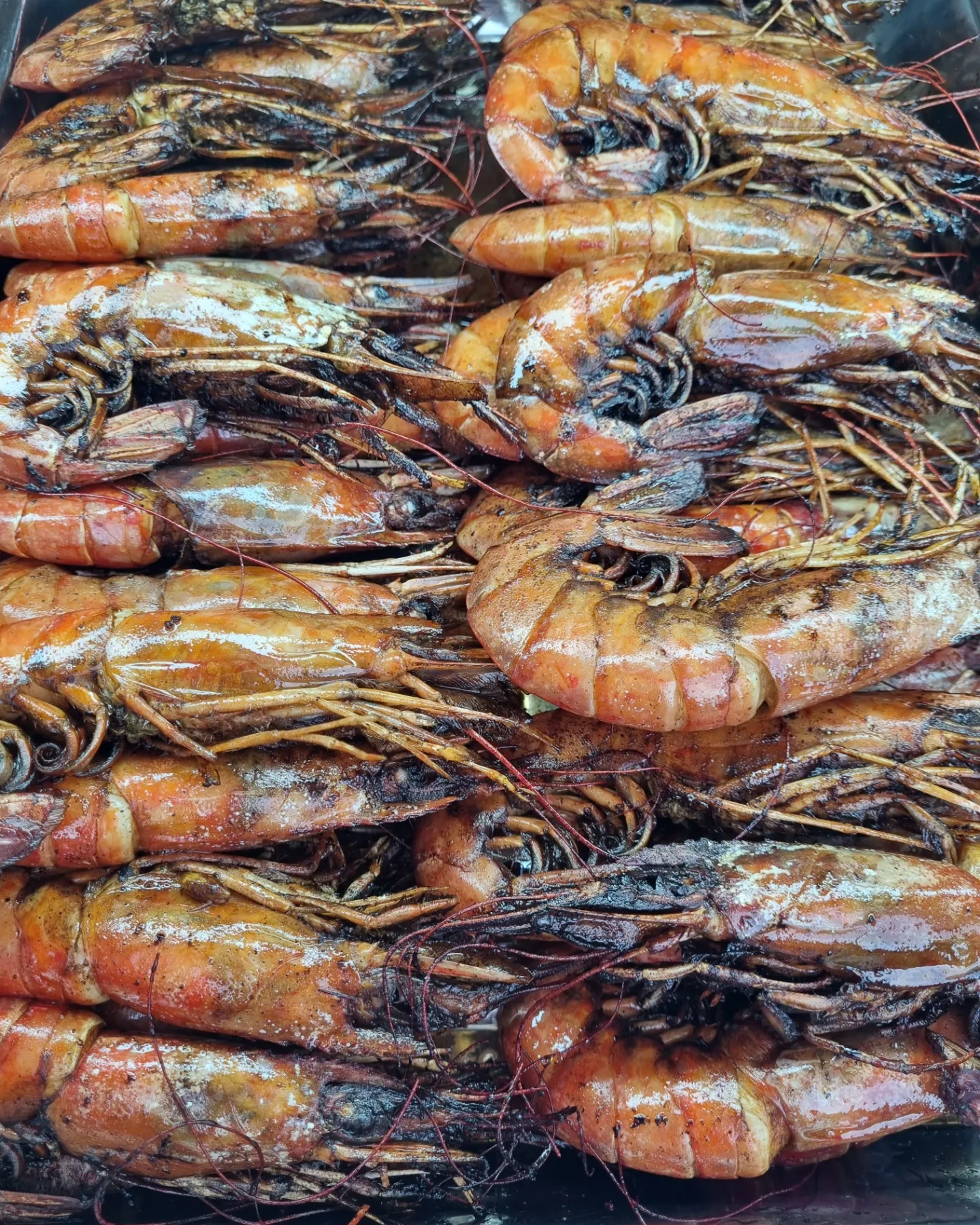 Фото Август на Пионерском